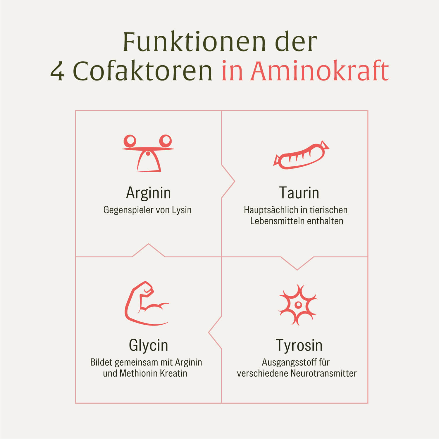 naturtreu-aminokraft-aminos-uren-komplex-eaa-mit-8-essentiellen-aminos-uren image 8