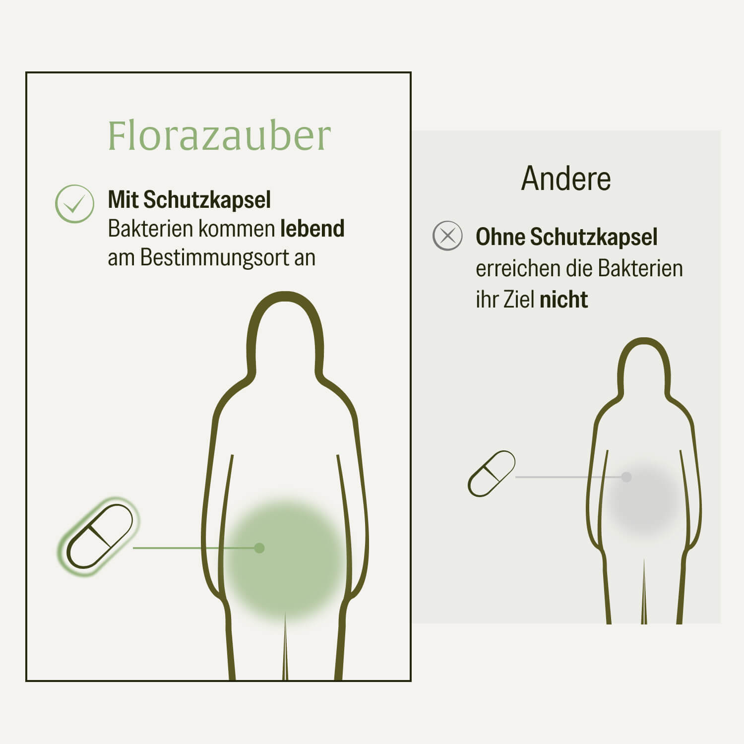 naturtreu-florazauber-darm-kulturen-komplex-mit-23-st-mmen-100-mrd-bakterien image 8