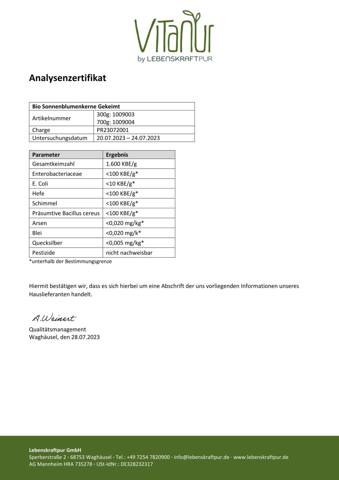 lebenskraftpur-bio-sonnenblumenkerne-gekeimt-superfood image 4