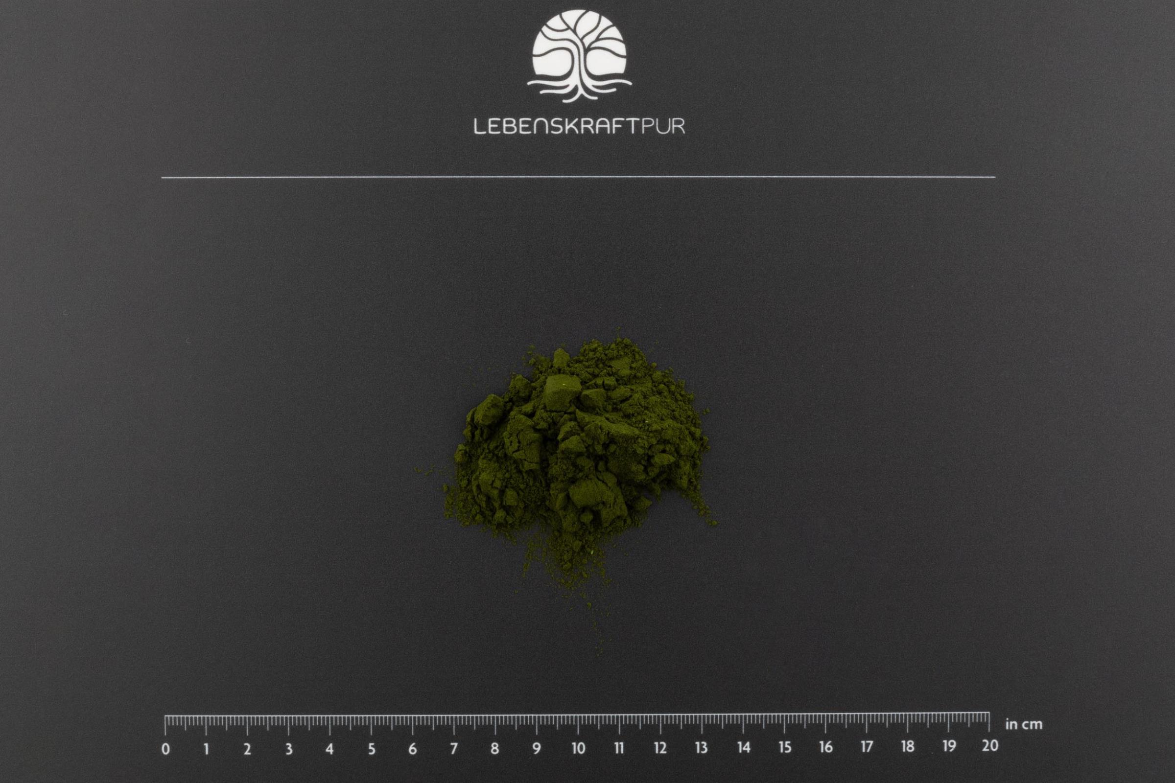 lebenskraftpur-marines-phytoplankton-pulver-nannochloropsis-gaditana image 3