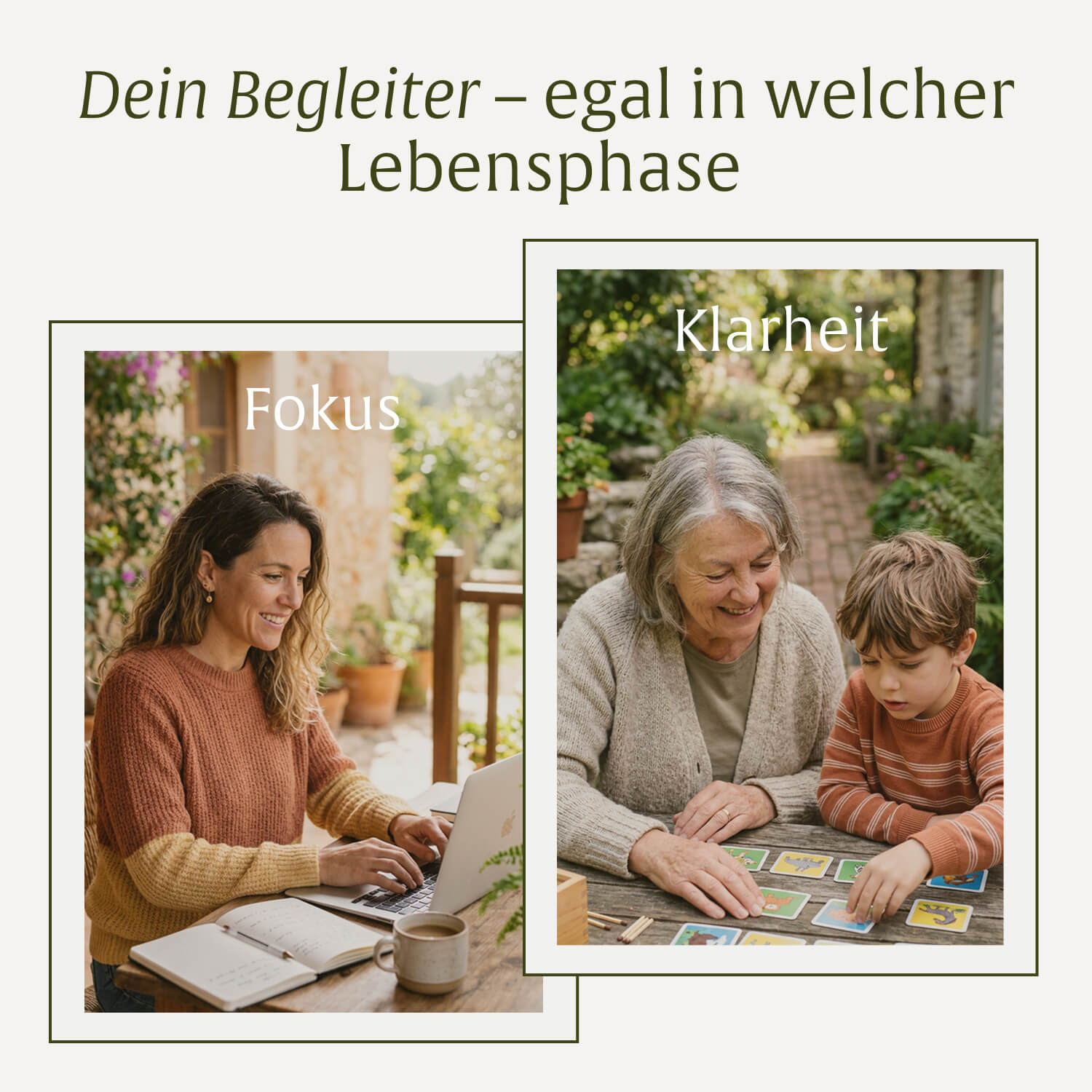 naturtreu-gedankengut-kapseln-mit-l-wenm-hne-ginkgo-brahmi image 8