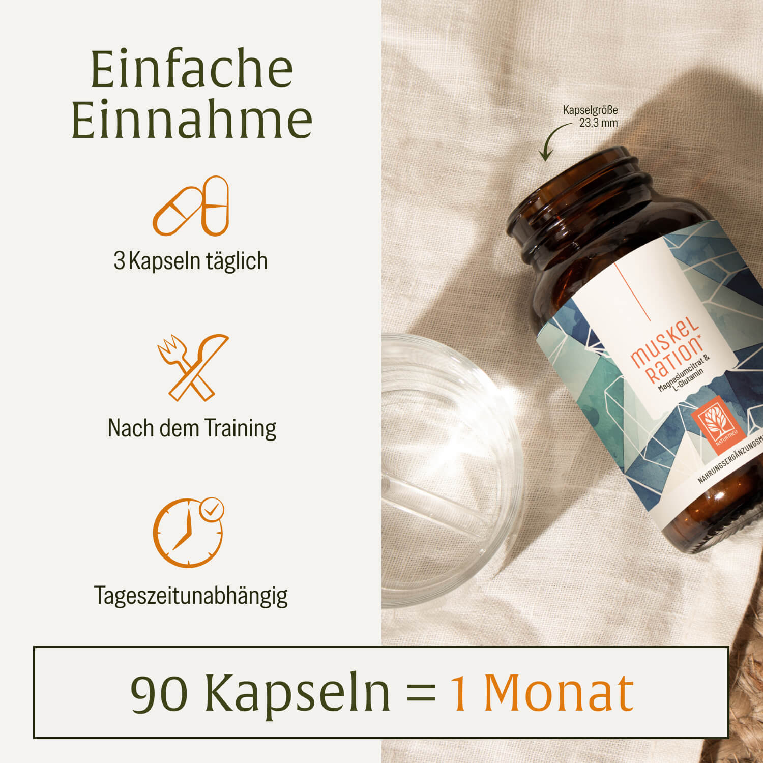 naturtreu-muskelration-magnesiumcitrat-l-glutamin-kapseln-mit-elektrolyten-und-z image 6