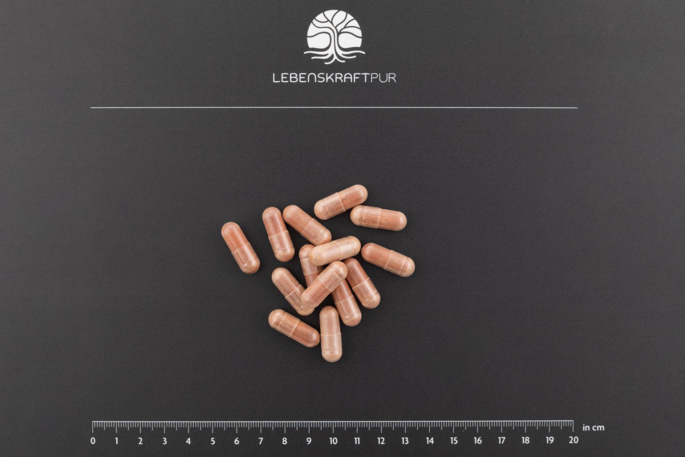 lebenskraftpur-mpc-traubenkernextrakt-kapseln-150-mg-mpc image 2