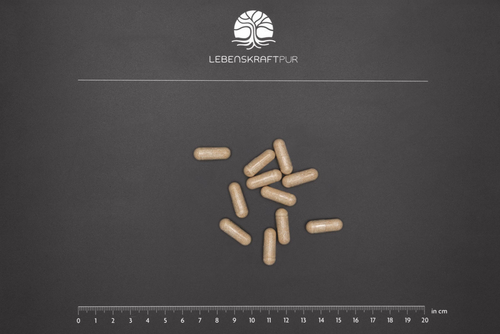 lebenskraftpur-arthro-protekt-kapseln-hyaluron-chondroitin-glucosamin image 3