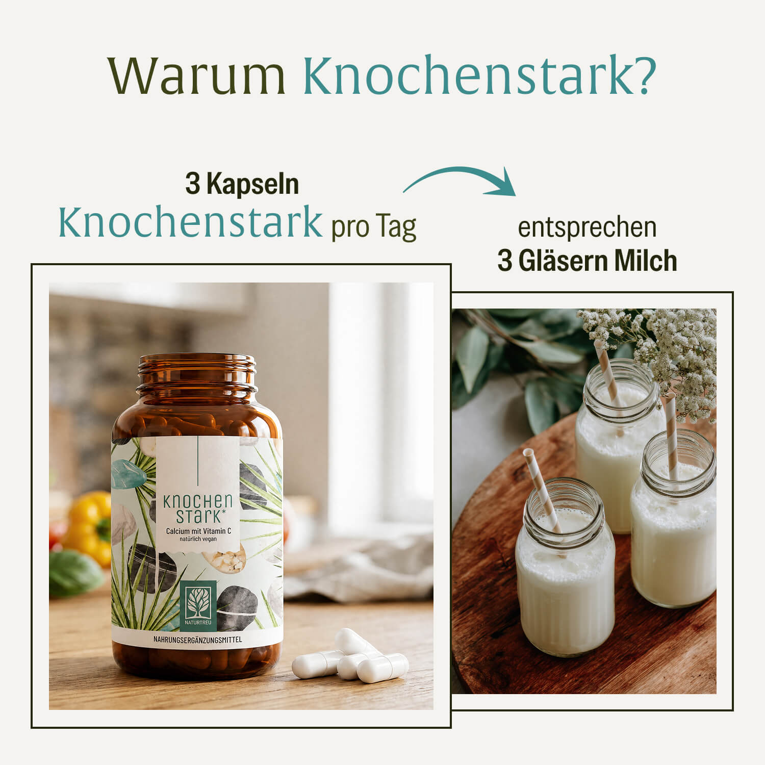 naturtreu-knochenstark-calcium-kapseln-mit-vitamin-c-aus-camu-camu image 6