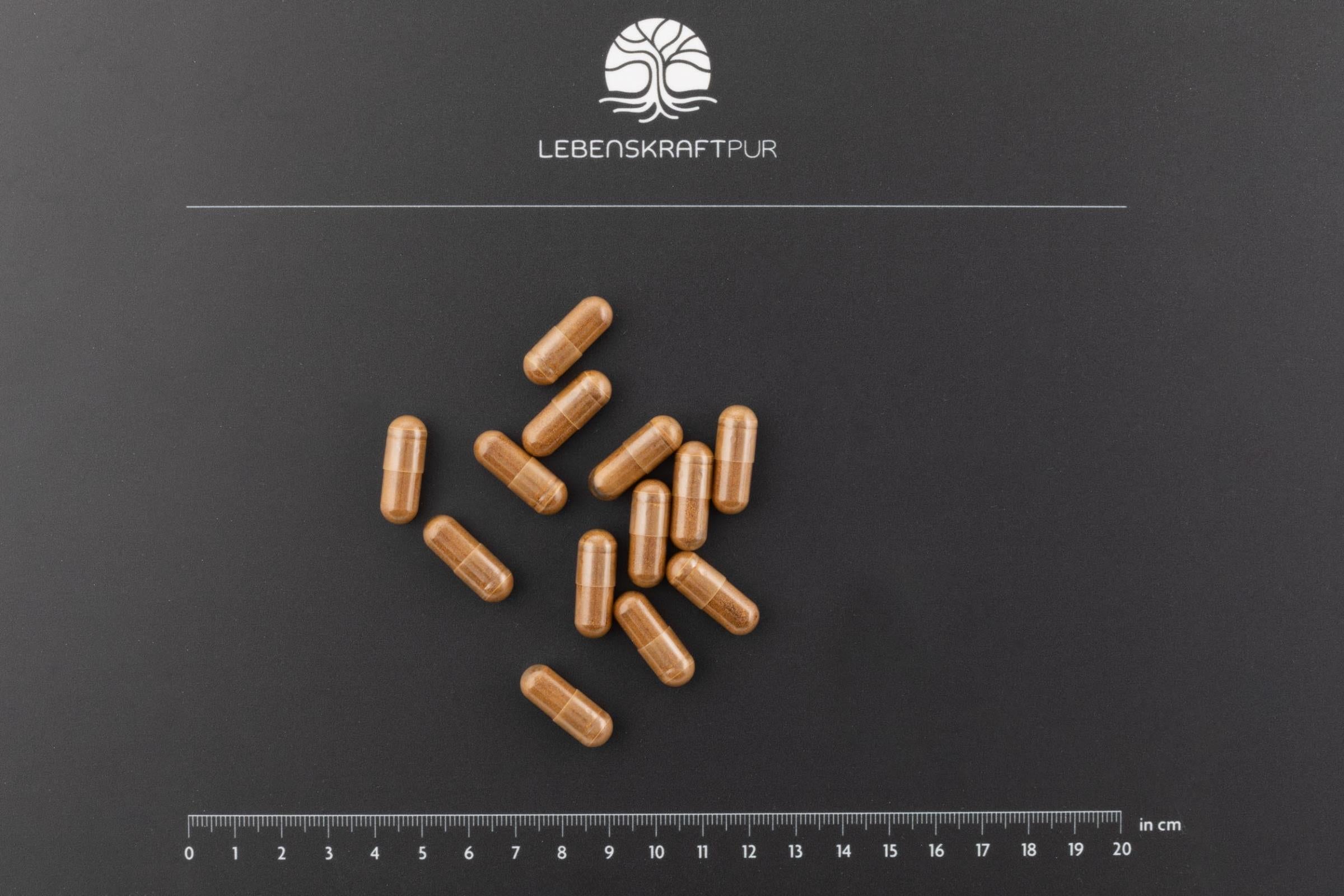 lebenskraftpur-pilzkraft-vital-kapseln-agaricus-cordyceps image 2