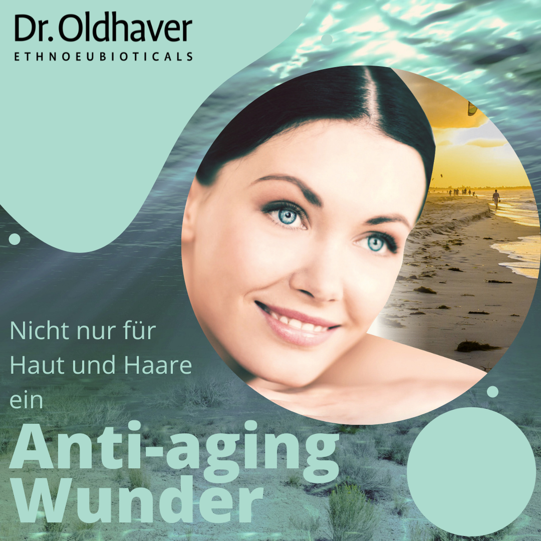 dr-oldhaver-ecklonia-cava-kapseln-90-kapseln-braunalge image 4