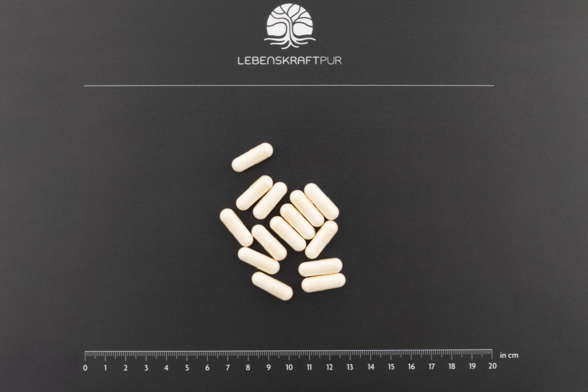 lebenskraftpur-bio-mikrobiom-protekt-kapseln-darmflora image 3