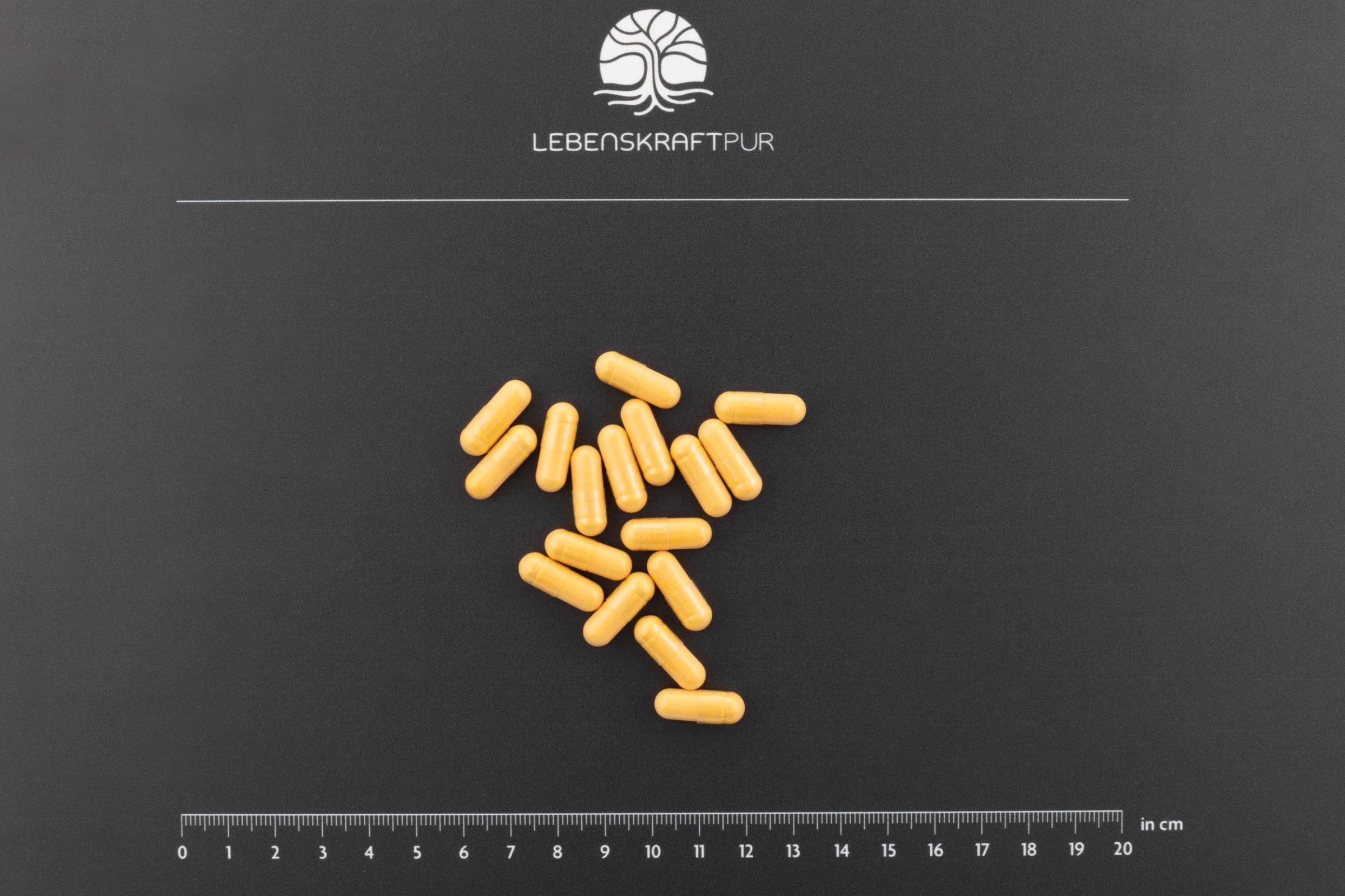 lebenskraftpur-q10-coenzym-kapseln-hochdosis-ubiquinon-mit-cordyceps image 3