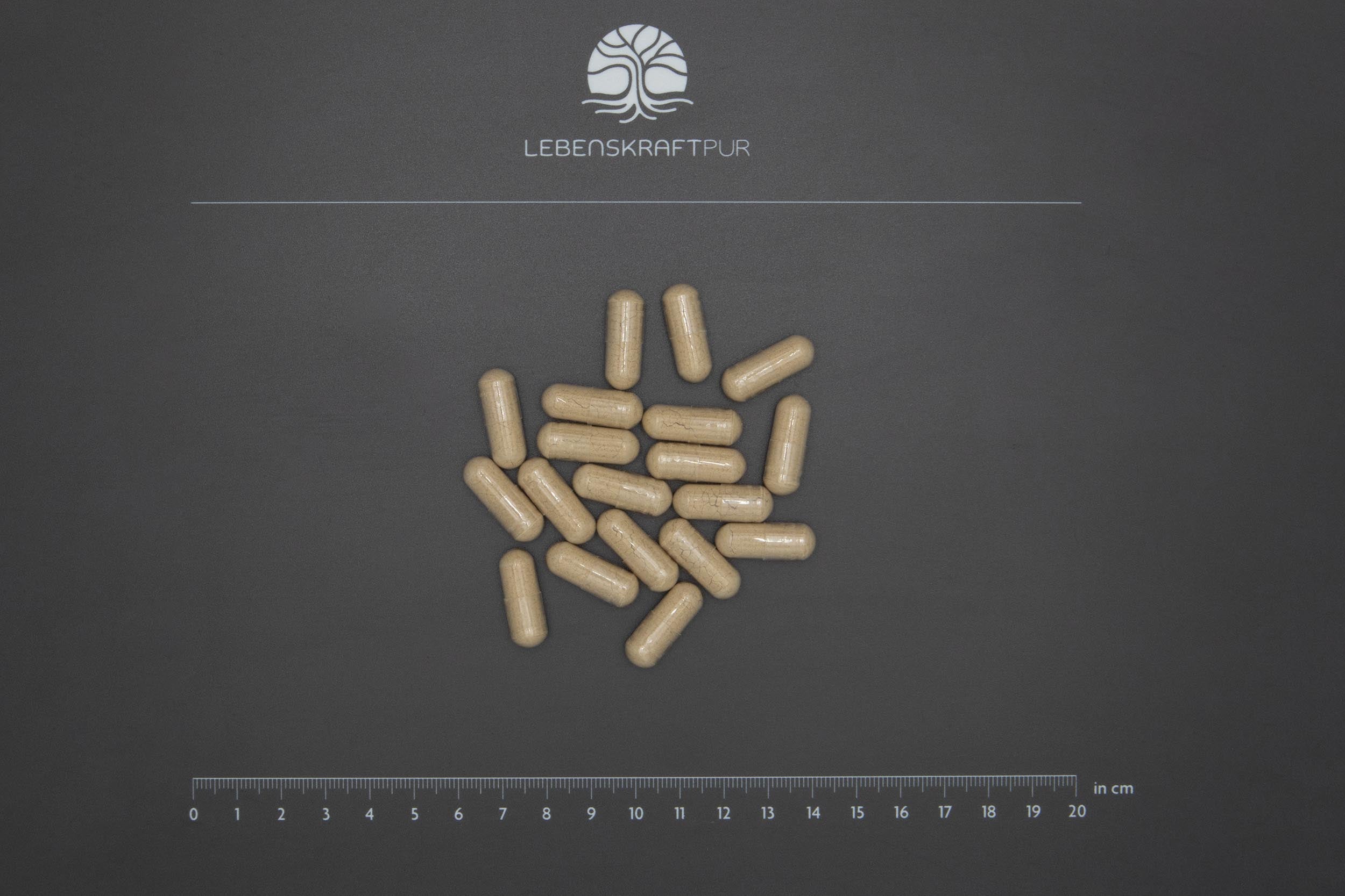 lebenskraftpur-ashwagandha-vollspektrum-extrakt-kapseln-vegetarisch image 3