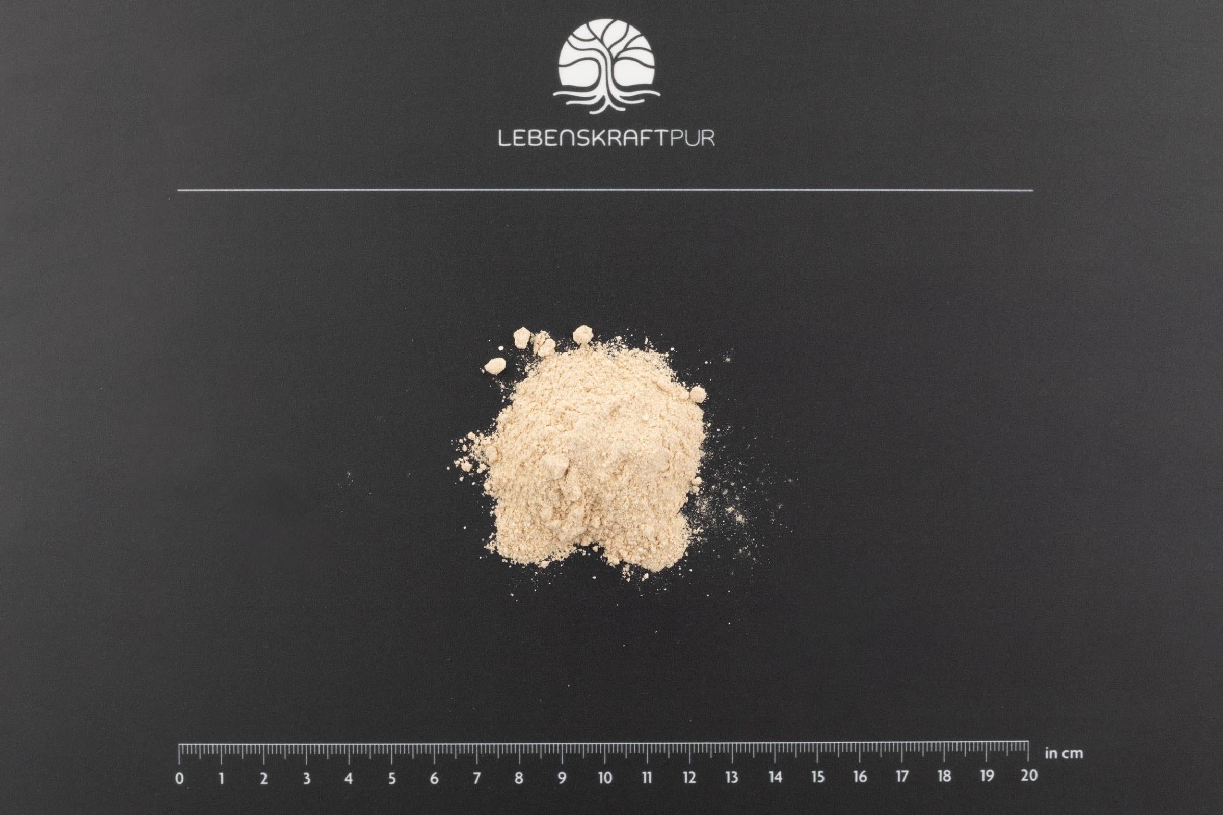 lebenskraftpur-regeneration-tag-pulver-nahrungserg-nzungsmittel-vegan image 3
