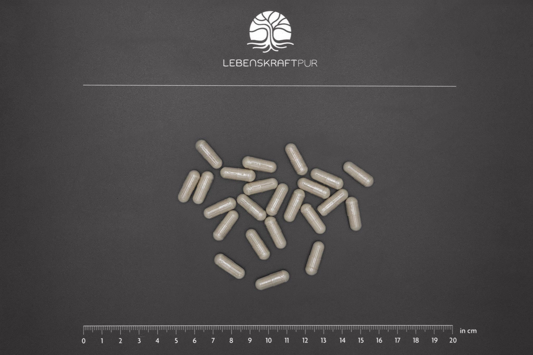 lebenskraftpur-eisen-plus-kapseln-eisenbisglycinat-c-lactoferrin image 4