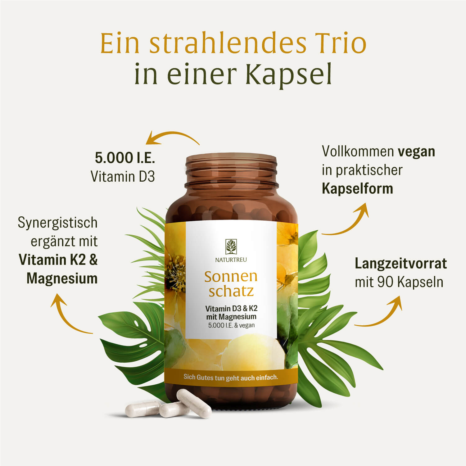 naturtreu-sonnenschatz-veganes-vitamin-d3-5-000-i-e-mit-k2-magnesium-kapseln-5-t image 3