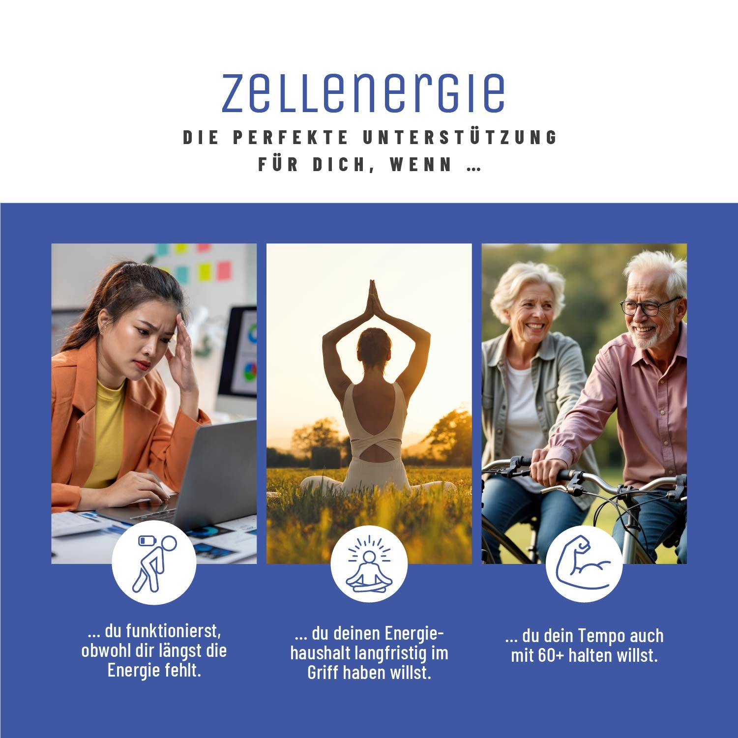 naturtreu-zellenergie-nr-komplex-mit-trans-resveratrol-und-q10-kapseln image 6