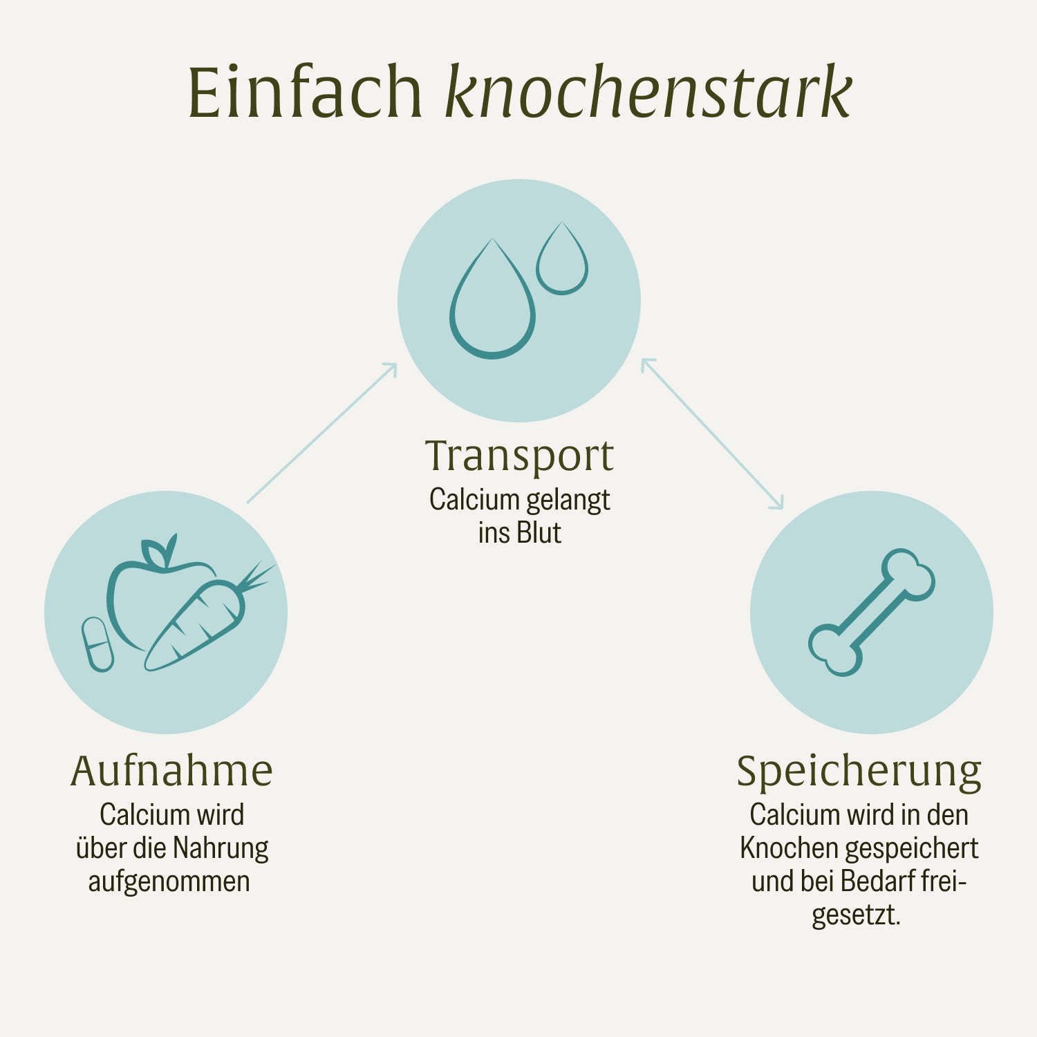 naturtreu-knochenstark-calcium-kapseln-mit-vitamin-c-aus-camu-camu image 7