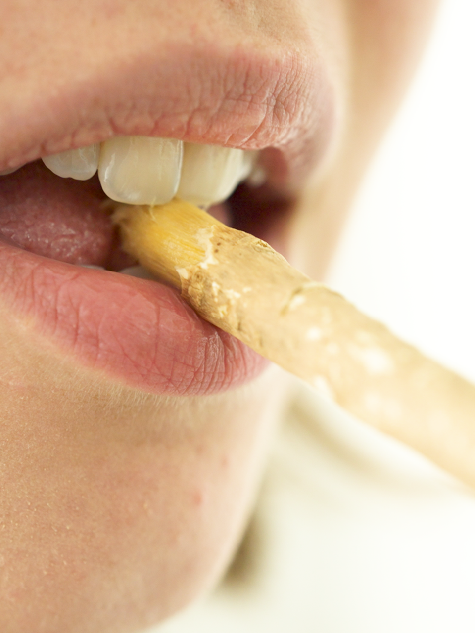 lebenskraftpur-miswak-zahnb-rstenholz image 5