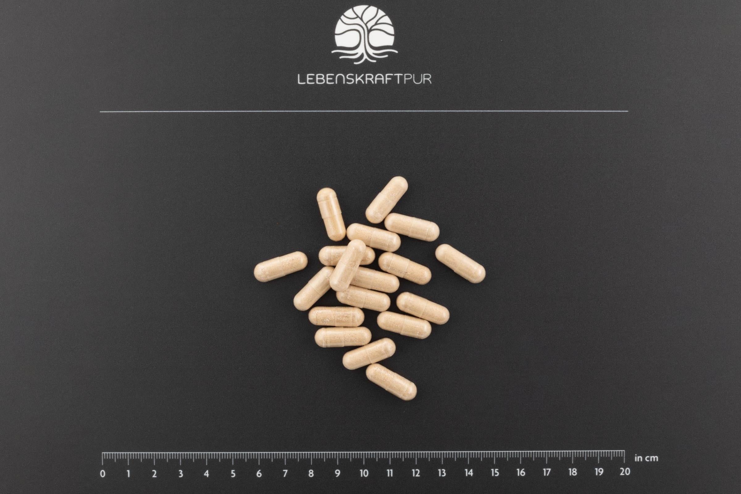 lebenskraftpur-prostata-vital-kapseln-nahrungserg-nzungsmittel-f-r-m-nner image 3