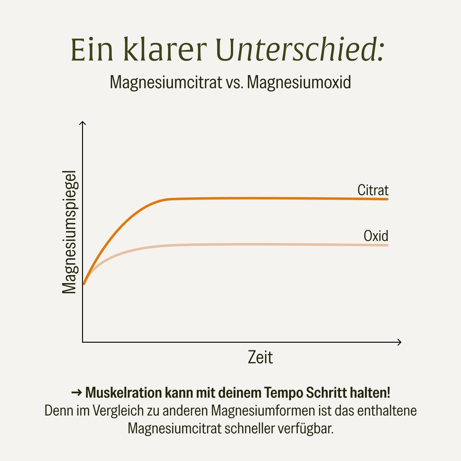 naturtreu-muskelration-magnesiumcitrat-l-glutamin-kapseln-mit-elektrolyten-und-z image 8