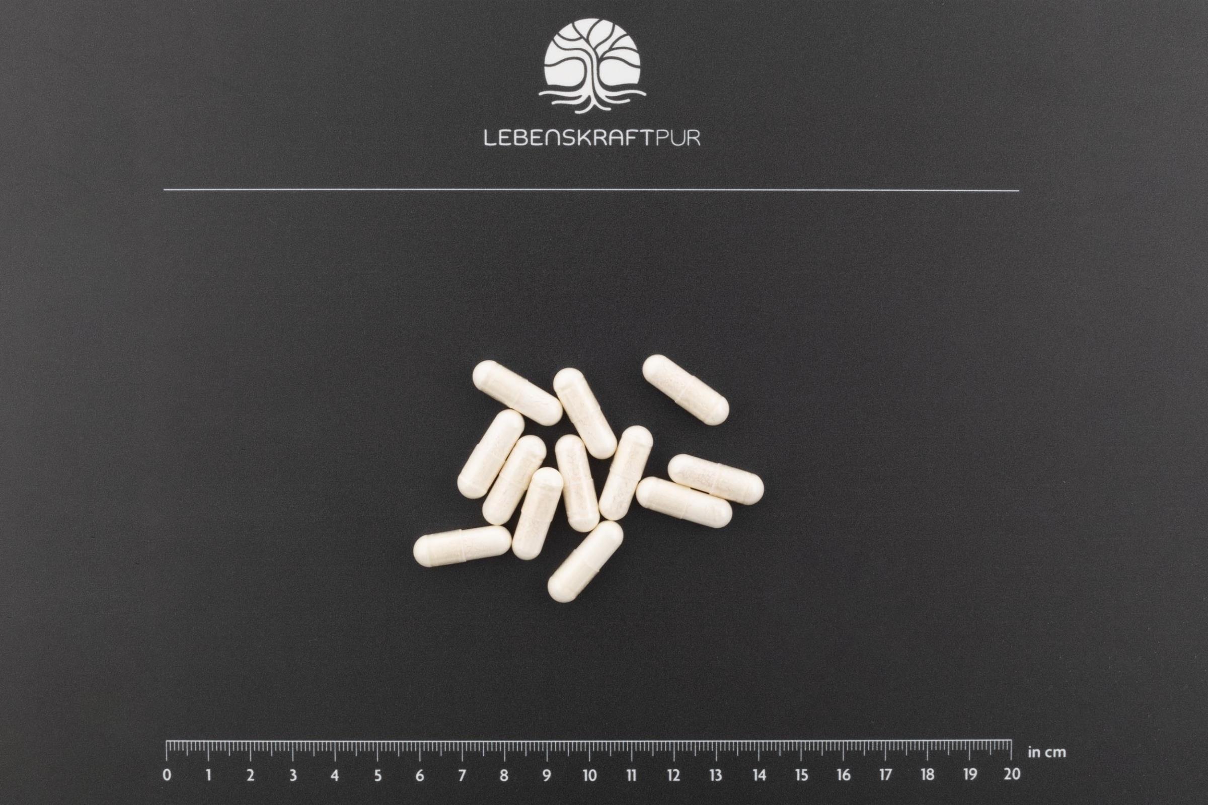 lebenskraftpur-l-tryptophan-kapseln-500-mg-reine-aminos-ure image 2