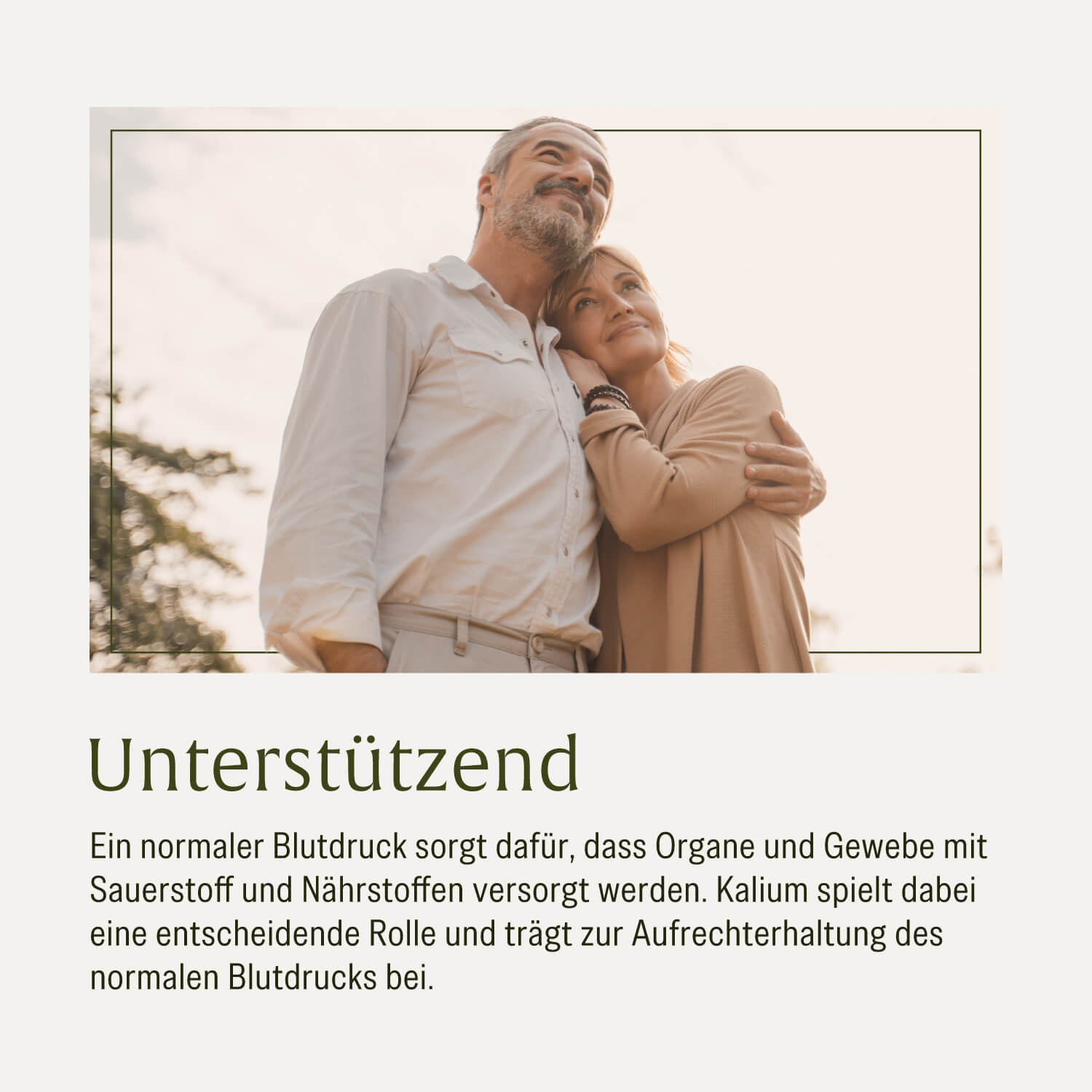 naturtreu-blutdruck-opc-komplex-mit-q10-kalium-und-knoblauch-kapseln image 7