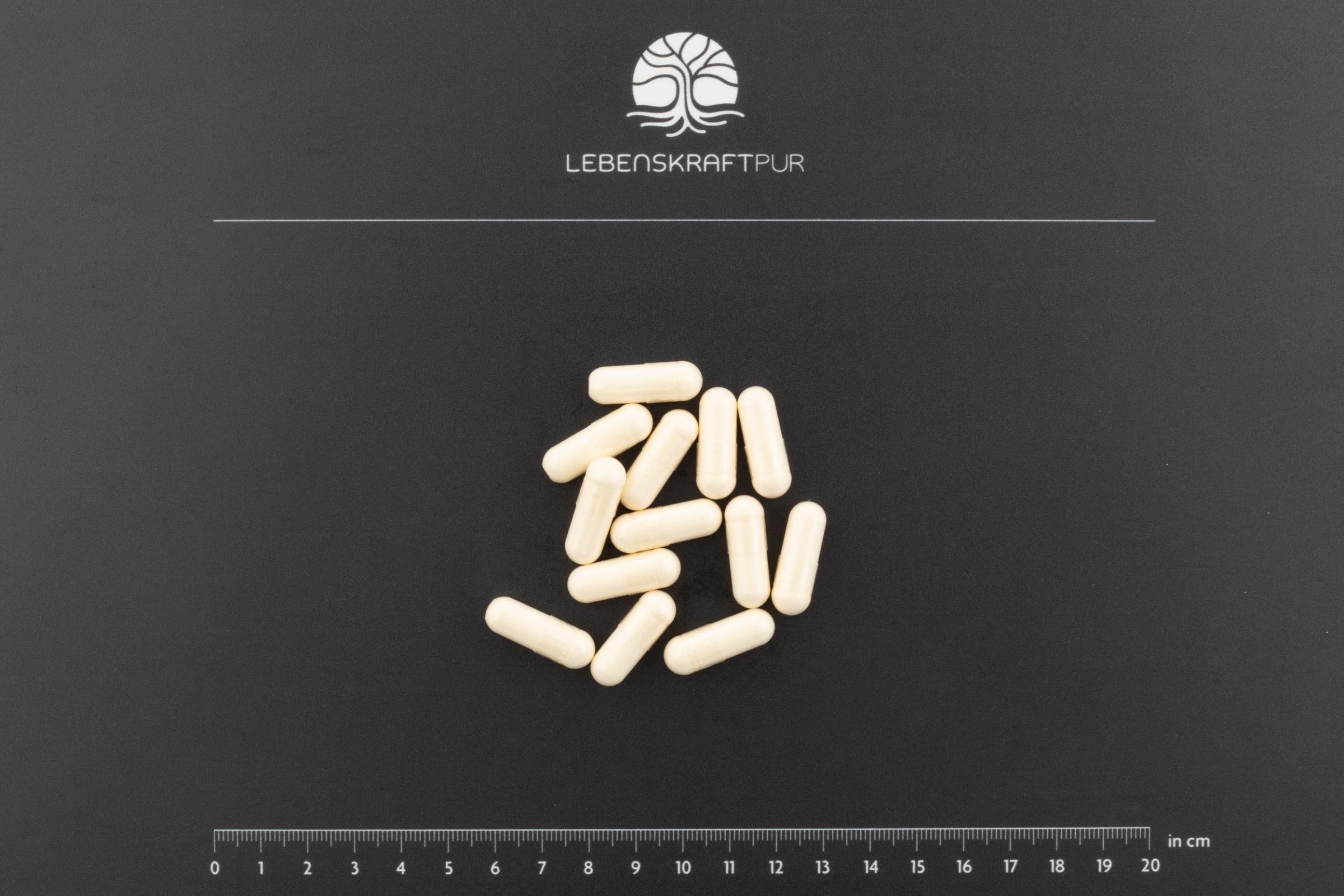 lebenskraftpur-l-arginin-plus-kapseln-mit-citrullin image 3