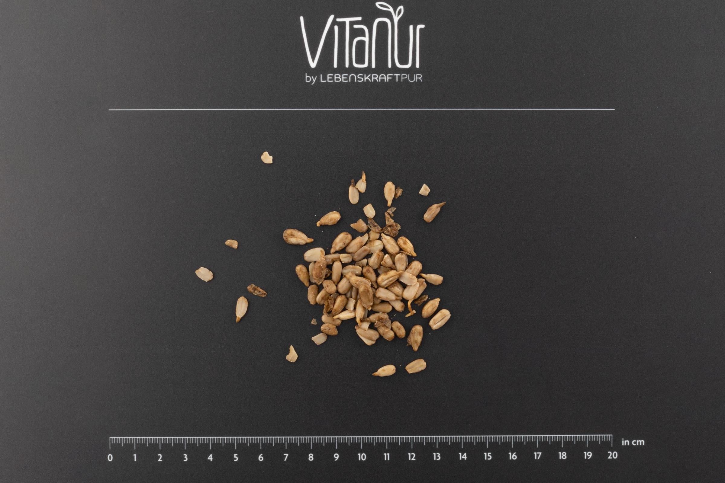 lebenskraftpur-bio-sonnenblumenkerne-gekeimt-superfood image 3