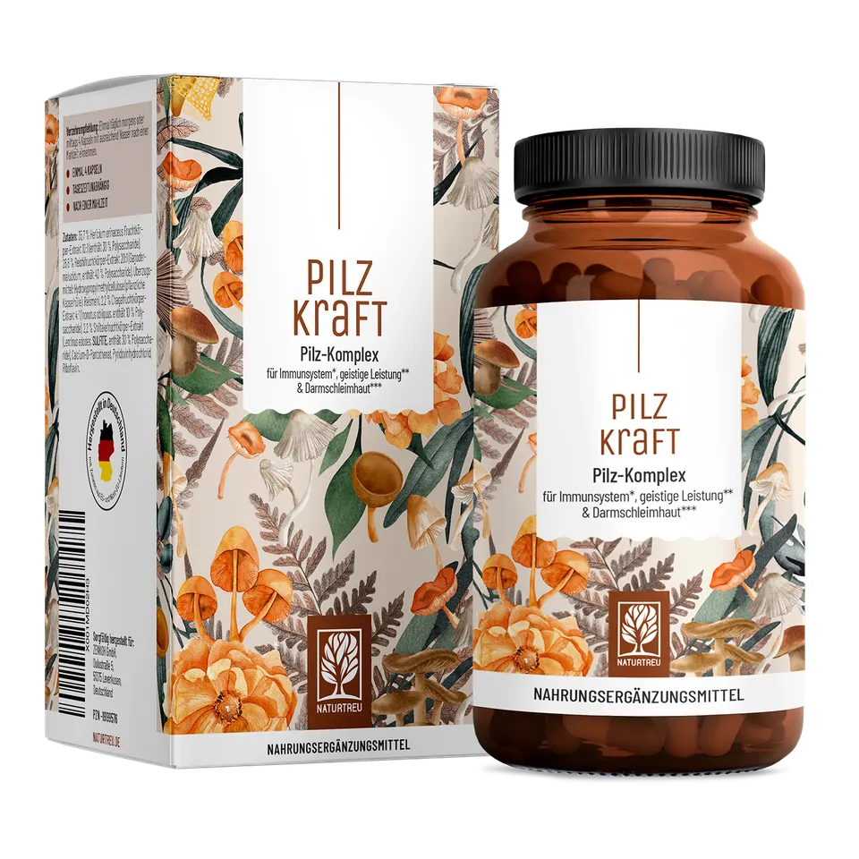 naturtreu-pilzkraft-kapseln-mit-reishi-shiitake-chaga-l-wenm-hne image 1