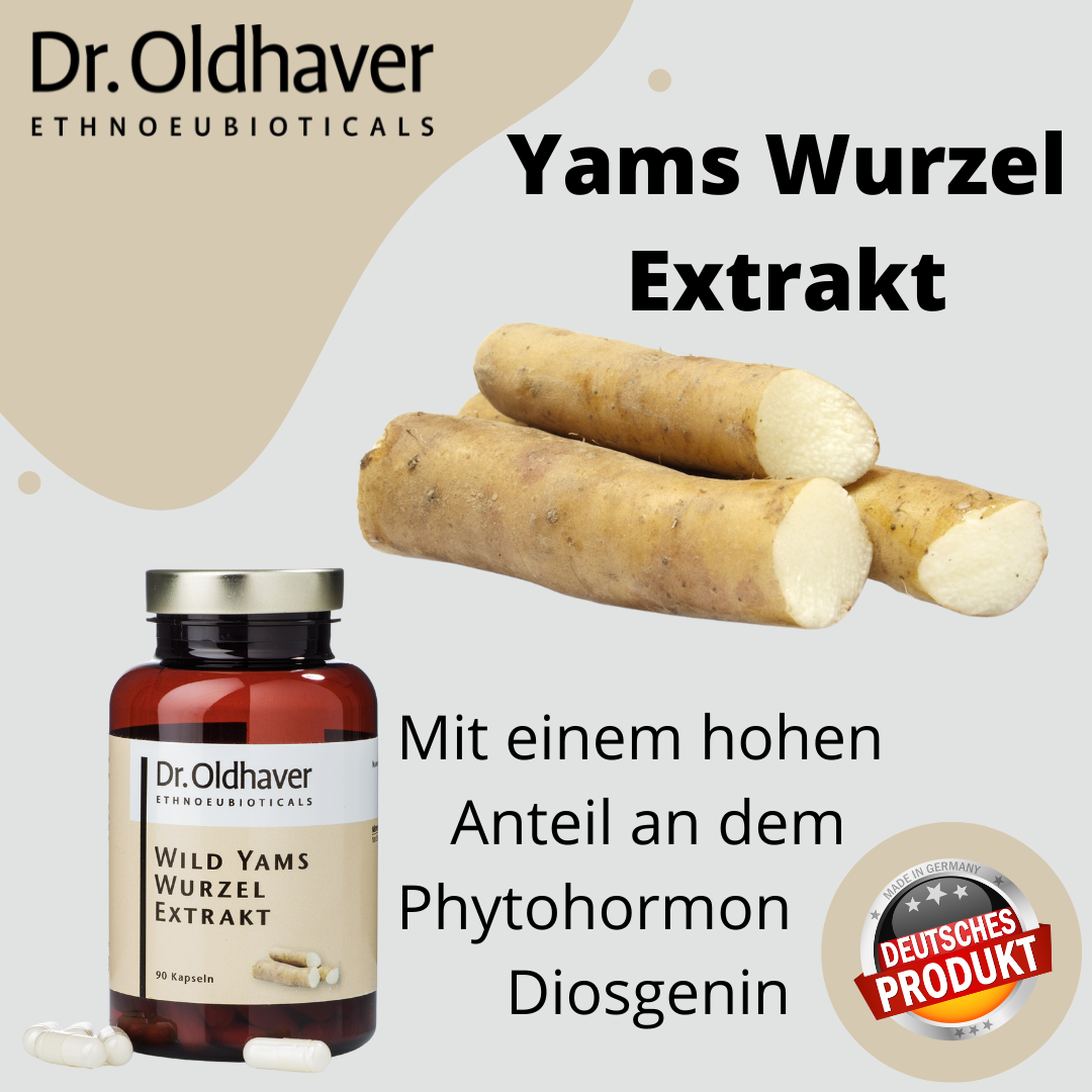dr-oldhaver-wild-yams-wurzel-extrakt-90-kps image 4