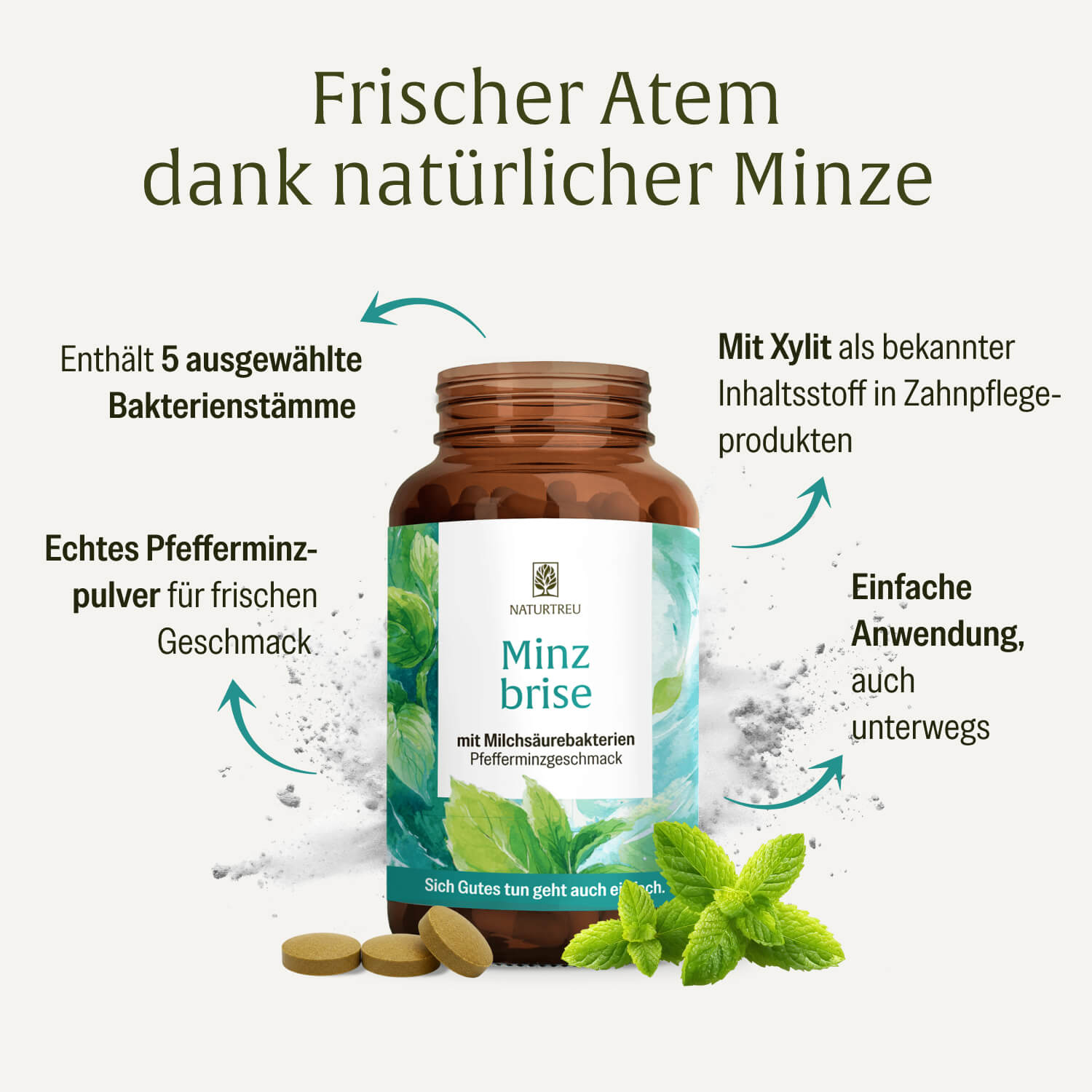 naturtreu-minzbrise-mundflora-lutschpastillen-mit-milchs-urebakterien-minze-xyli image 3