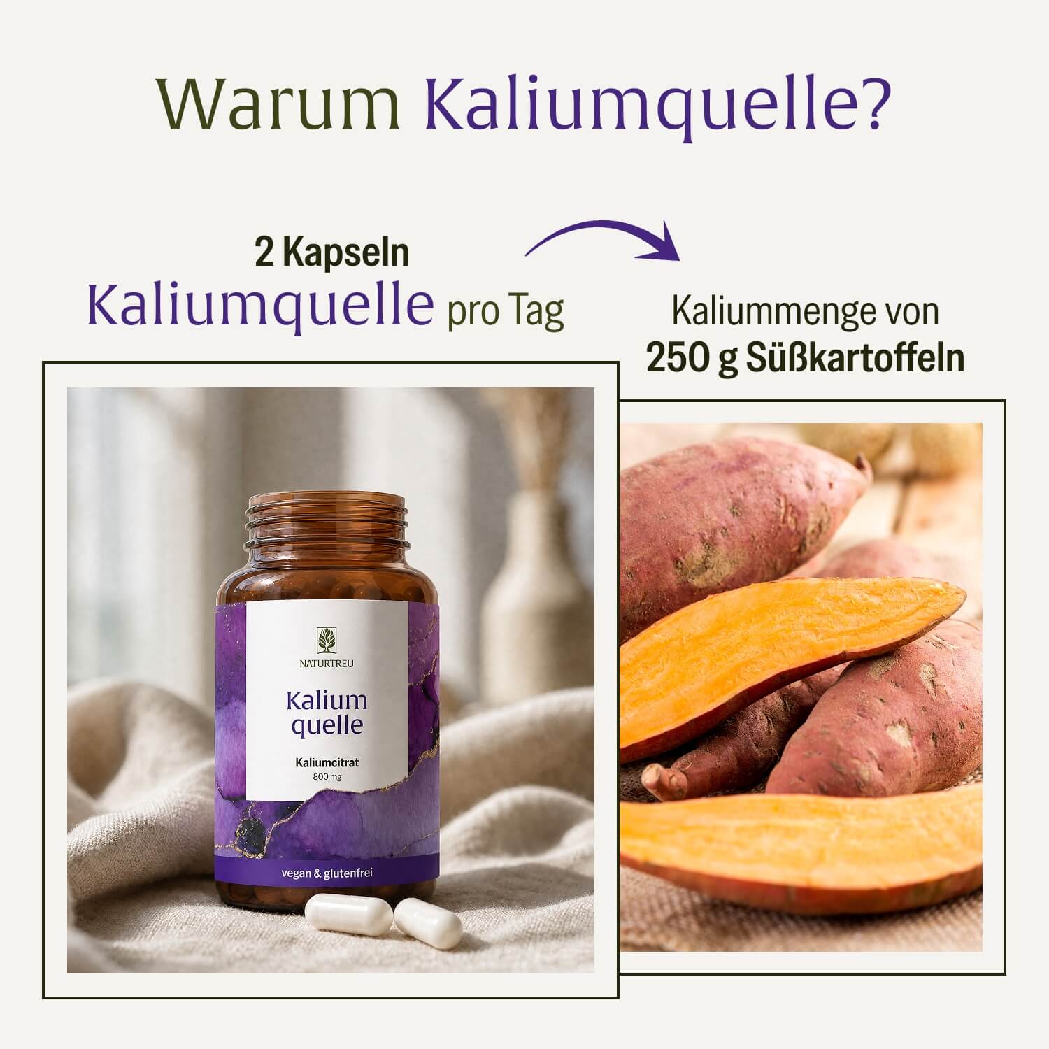naturtreu-kaliumquelle-kalium-kapseln-800-mg-kaliumcitrat image 7