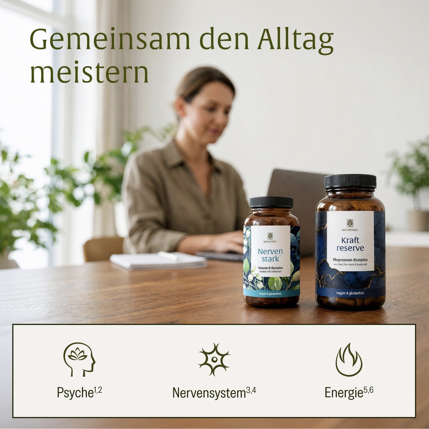 naturtreu-starke-nerven-sparpaket-kraftreserve-nervenstark image 3