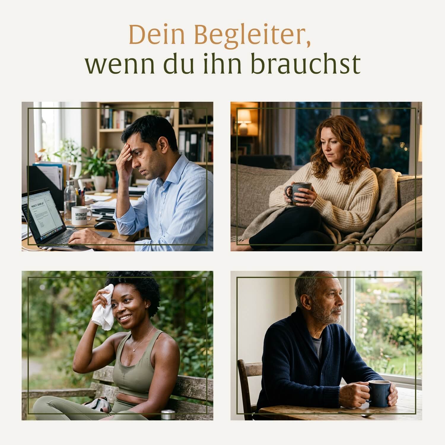 naturtreu-ruhewurzel-ashwagandha-mit-ksm-66-kapseln-f-r-stress-schlaf image 8