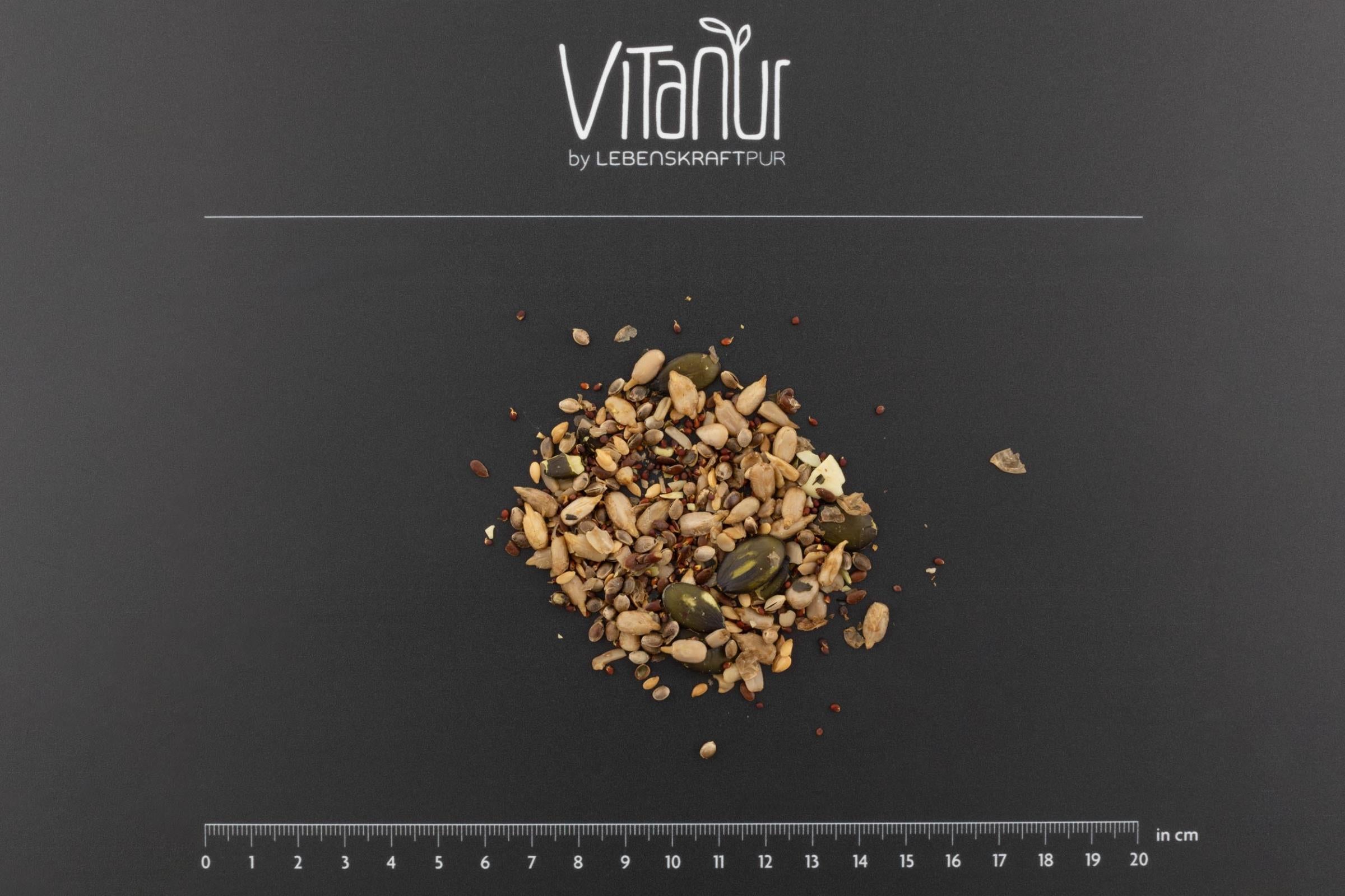 lebenskraftpur-bio-salatkernmix-gekeimt-superfood-topping image 3