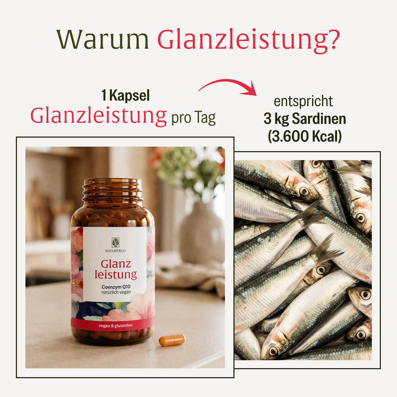 naturtreu-glanzleistung-coenzym-q10-kapseln image 8