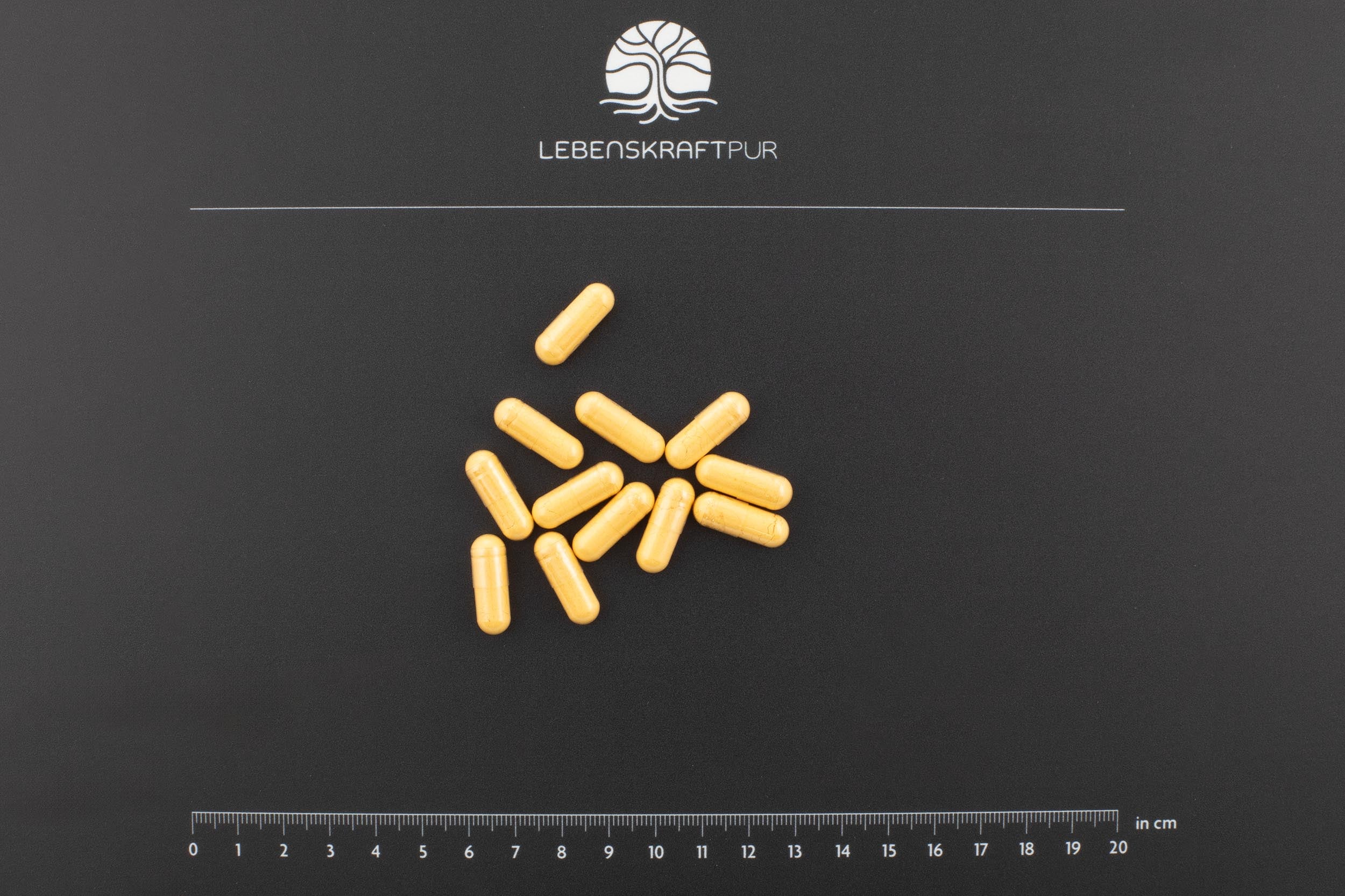 lebenskraftpur-vitamin-b-komplex-kapseln-hochdosiert image 3