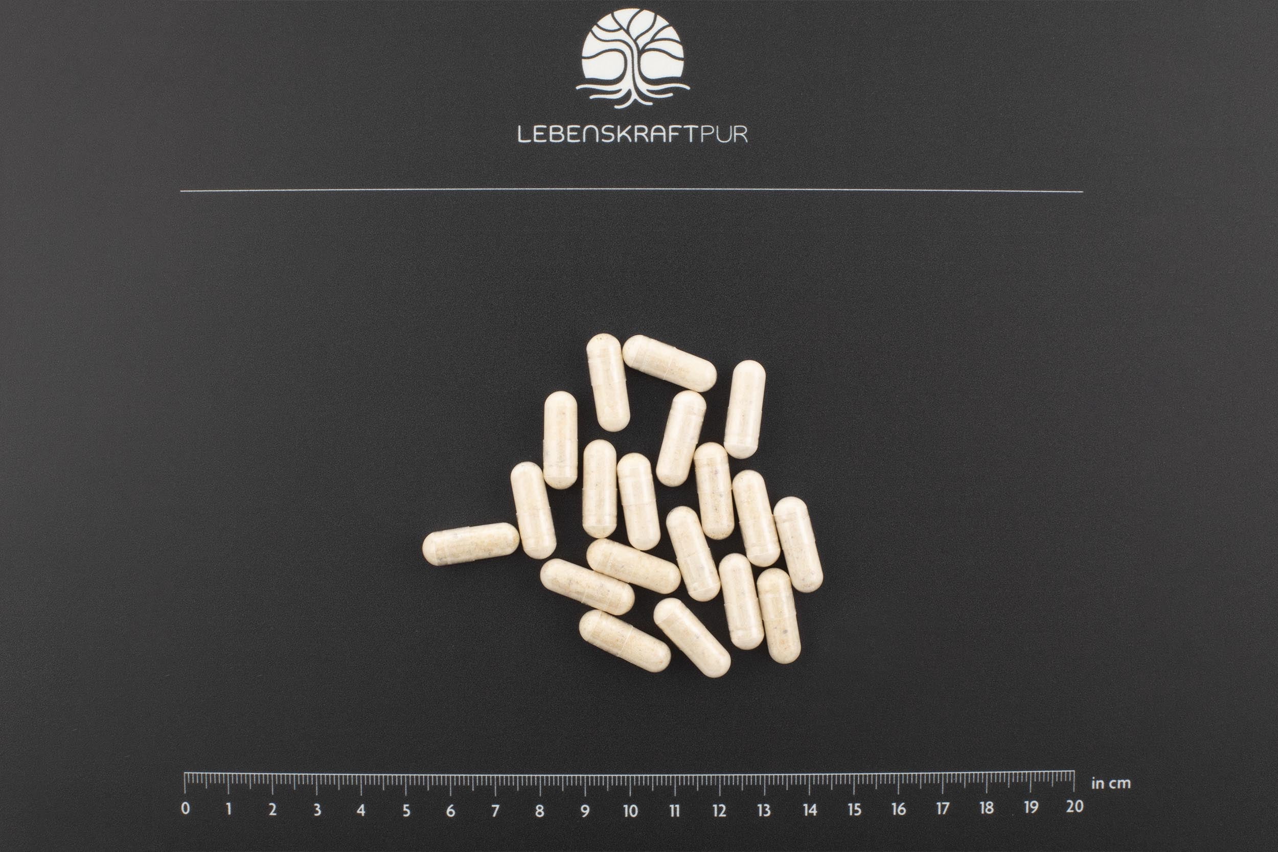 lebenskraftpur-weihrauch-kapseln-reines-boswellia-carterii-harz image 3