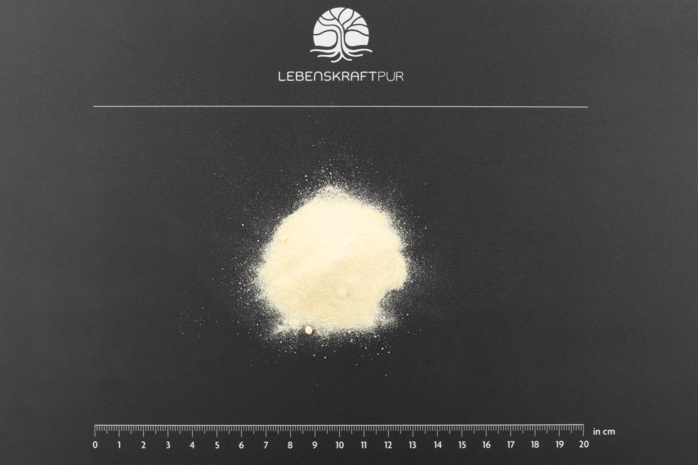 lebenskraftpur-l-arginin-plus-pulver-mit-l-citrullin-q10-und-b12 image 3