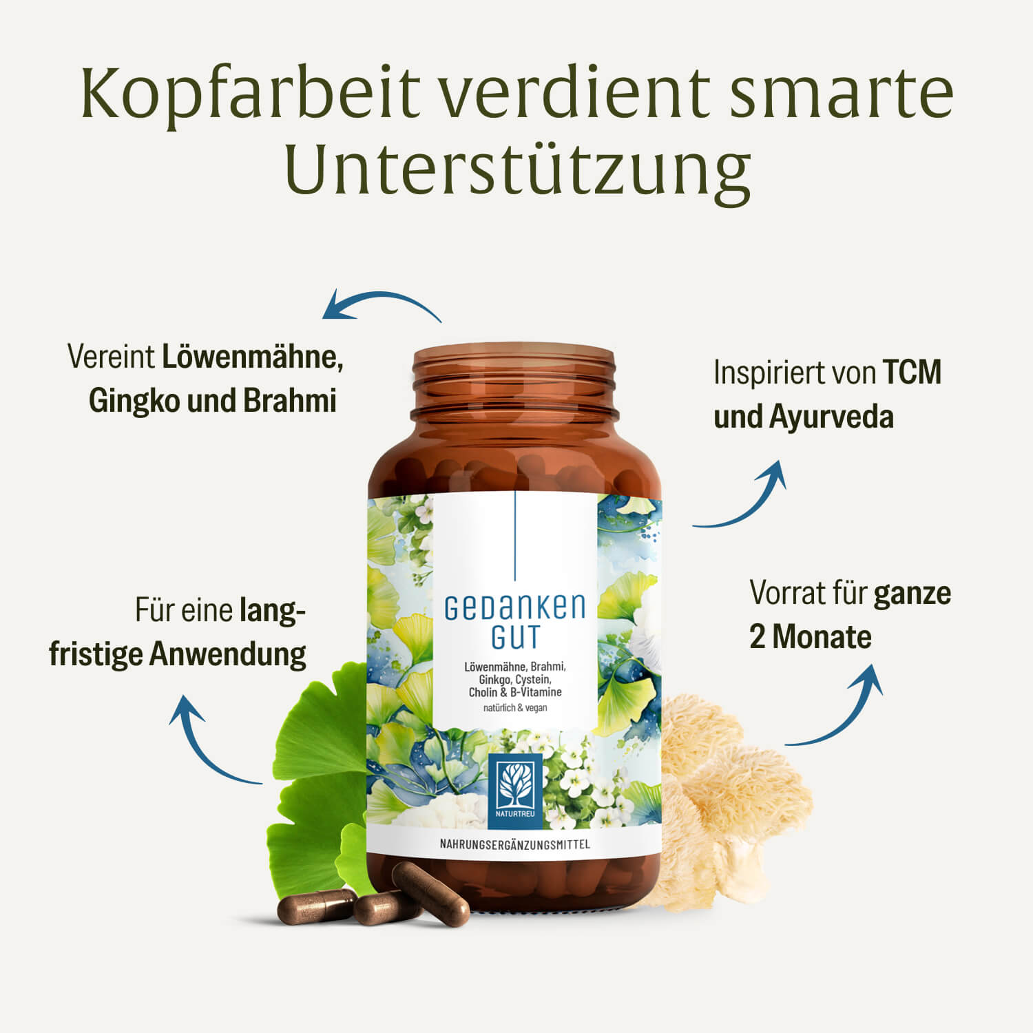 naturtreu-gedankengut-kapseln-mit-l-wenm-hne-ginkgo-brahmi image 3