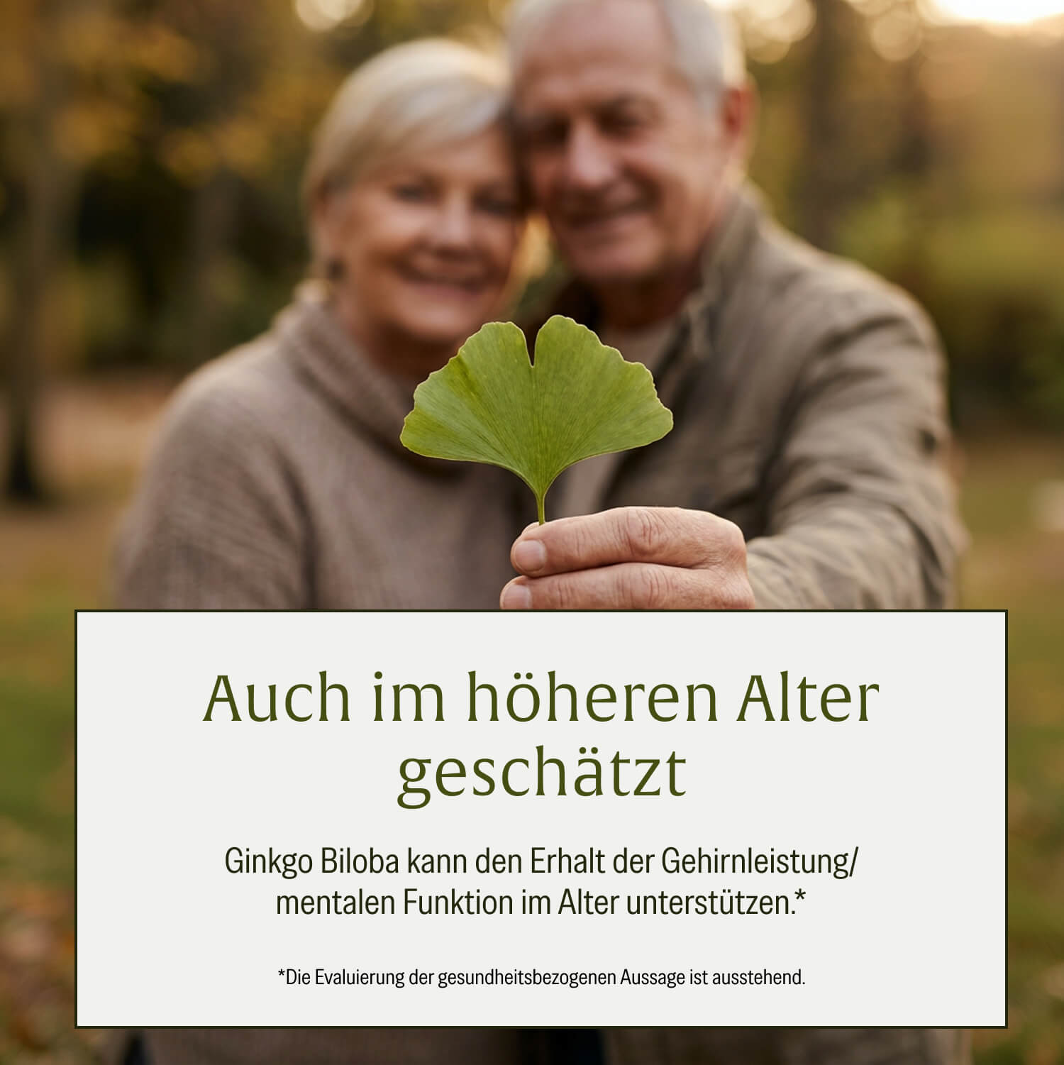 naturtreu-gedankengut-kapseln-mit-l-wenm-hne-ginkgo-brahmi image 7