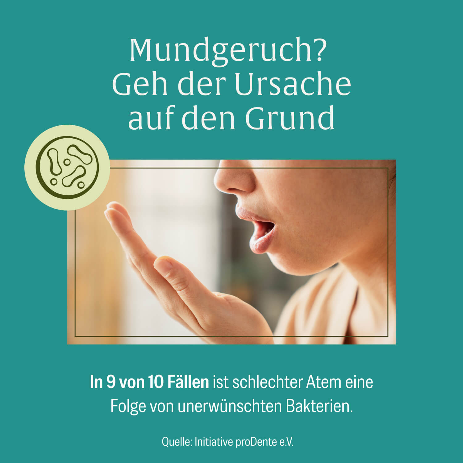 naturtreu-minzbrise-mundflora-lutschpastillen-mit-milchs-urebakterien-minze-xyli image 8