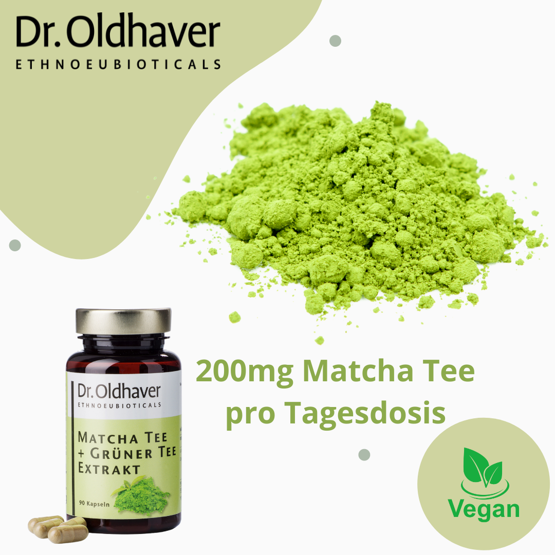 dr-oldhaver-matcha-tee-gr-ner-tee-extrakt-kapseln image 4
