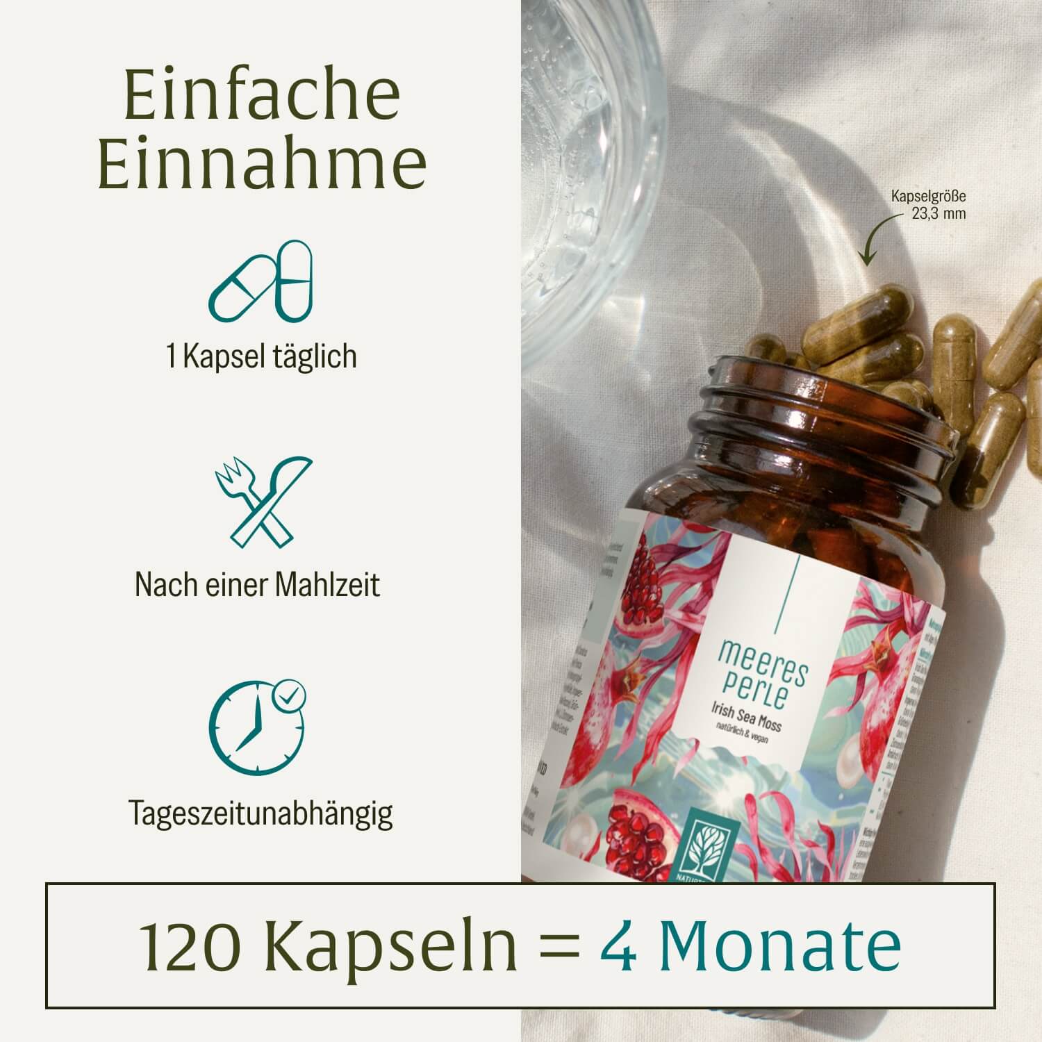 naturtreu-meeresperle-irish-sea-moss-kapseln-mit-zistrose-granatapfel-ingwer image 6