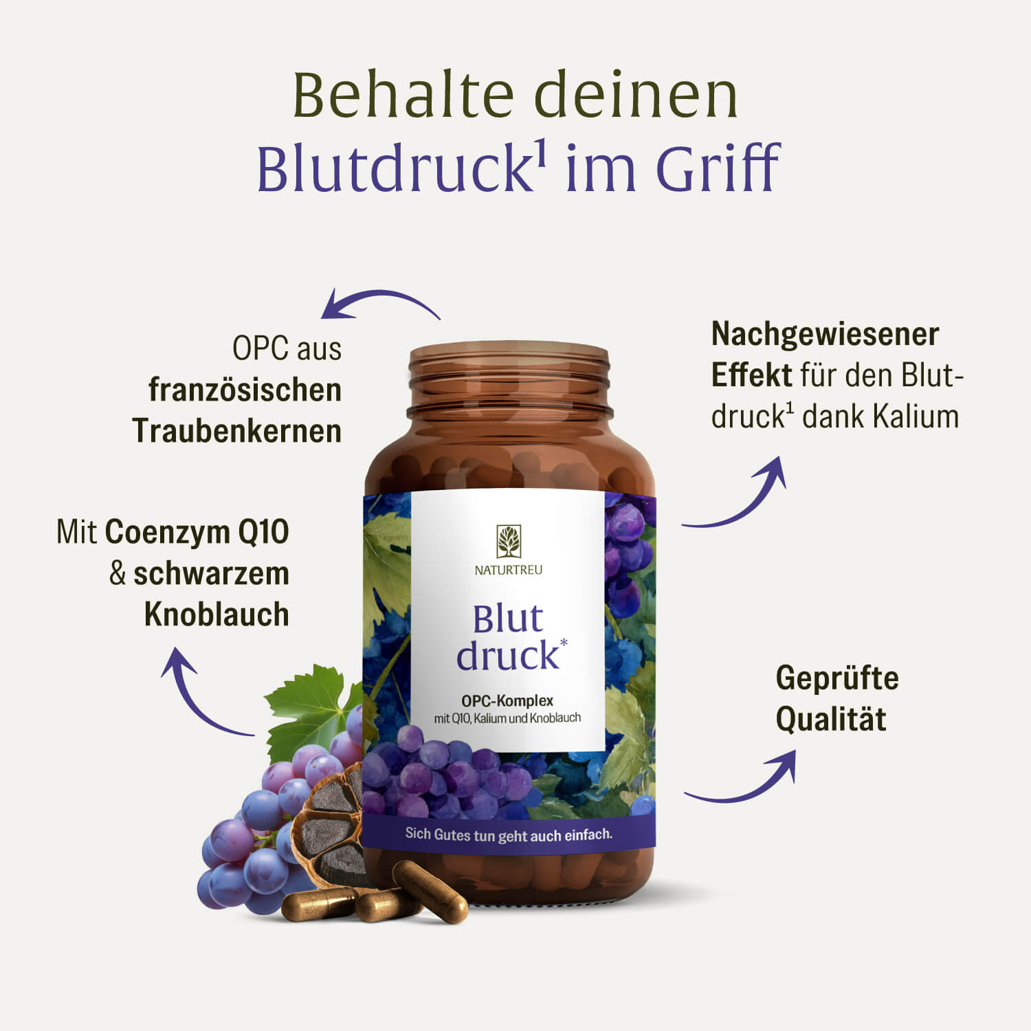 naturtreu-blutdruck-opc-komplex-mit-q10-kalium-und-knoblauch-kapseln image 3