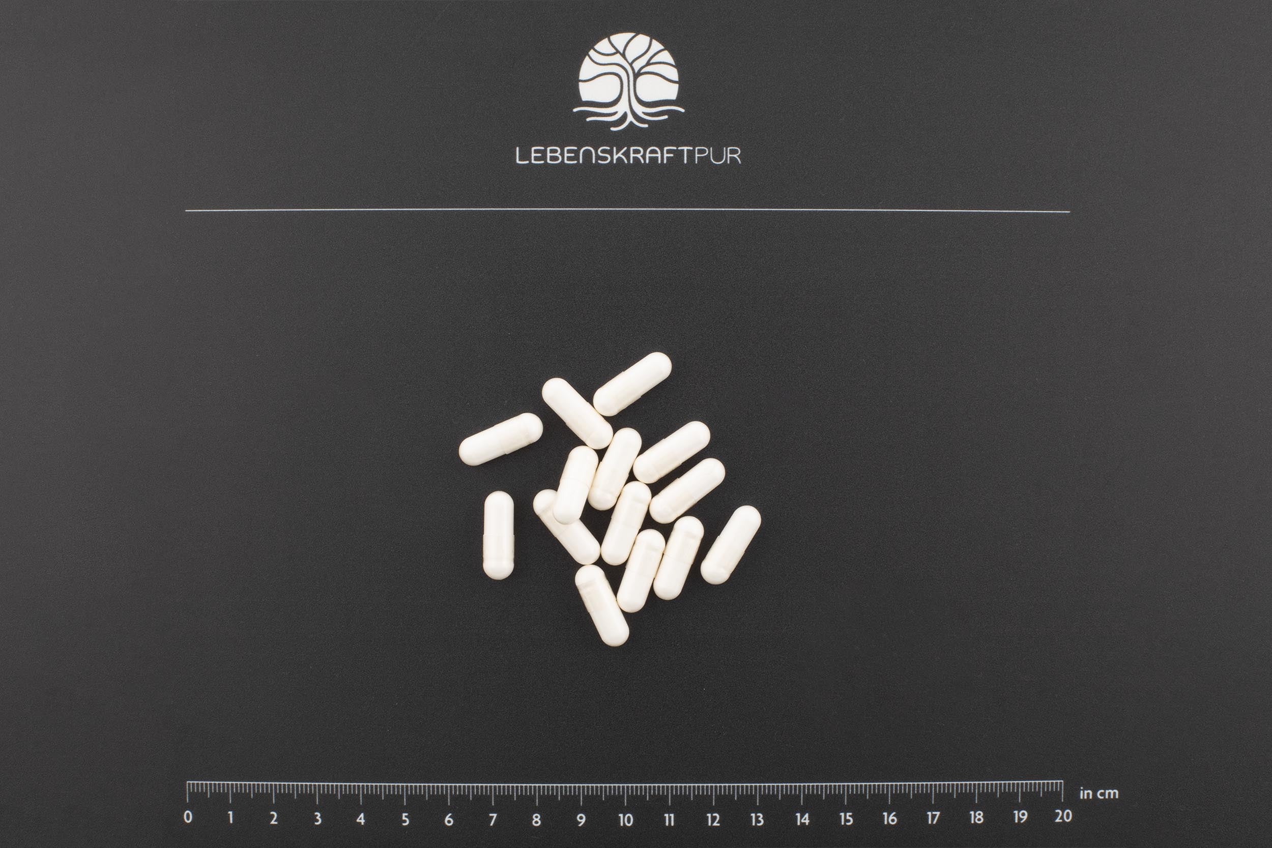 lebenskraftpur-zink-picolinat-kapseln-30-mg-zink image 3