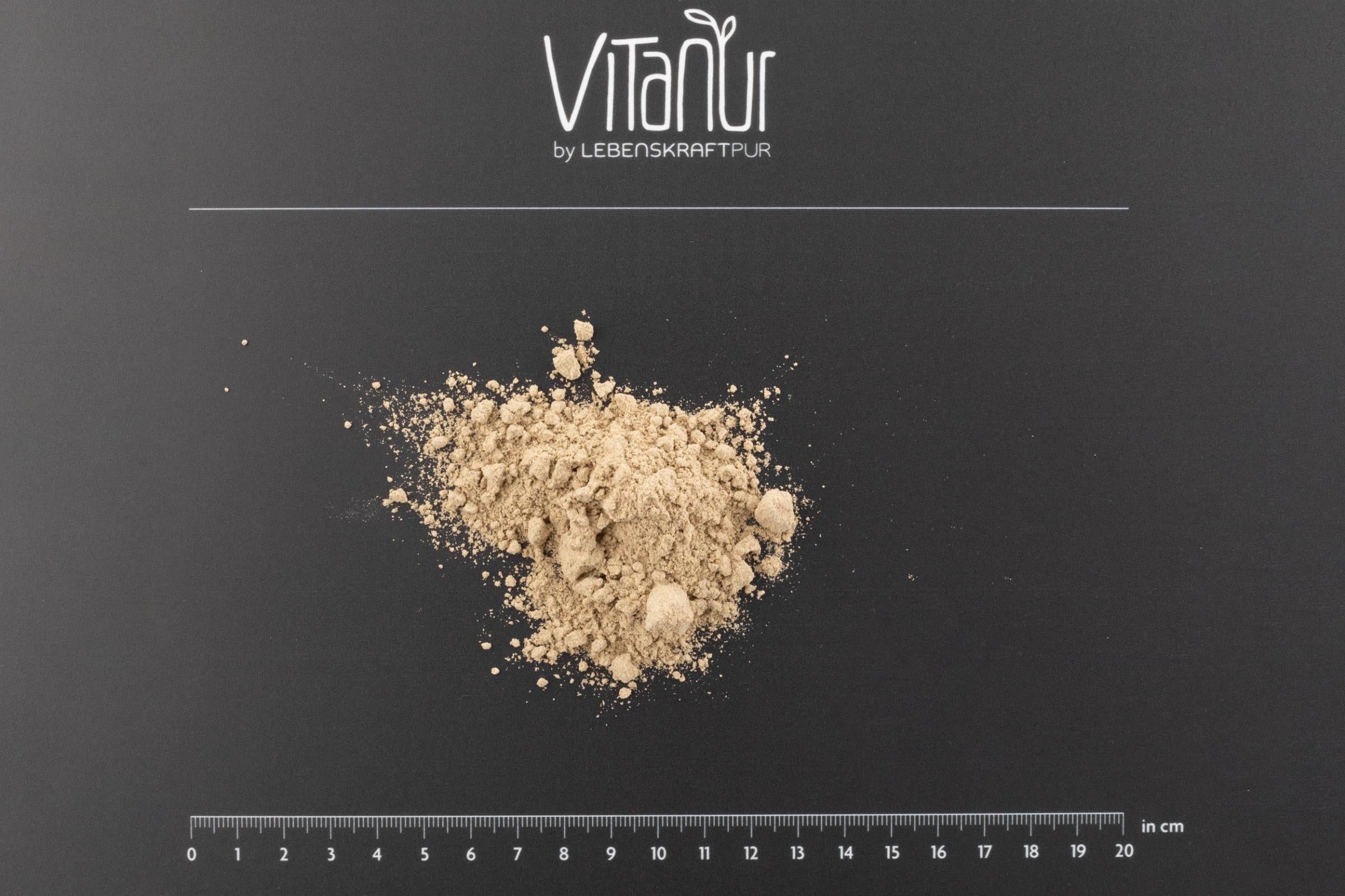 lebenskraftpur-bio-protein-vegan-plus-pulver-kakao-kokos image 3