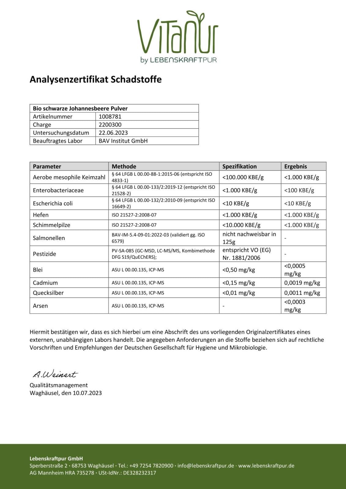 lebenskraftpur-bio-schwarze-johannisbeere-pulver image 4