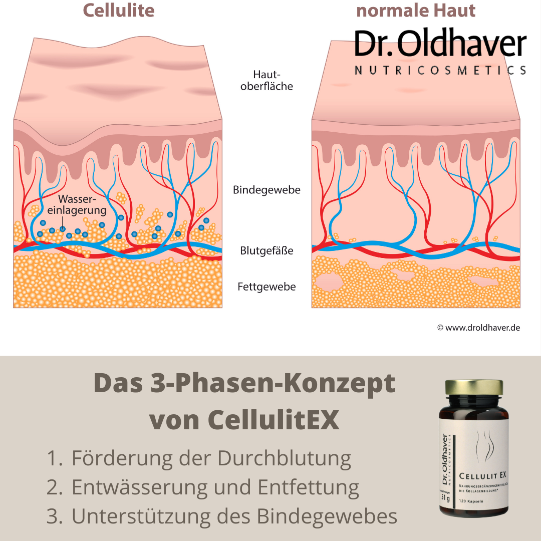 dr-oldhaver-cellulitex-bindegewebskapseln-120-kps image 5