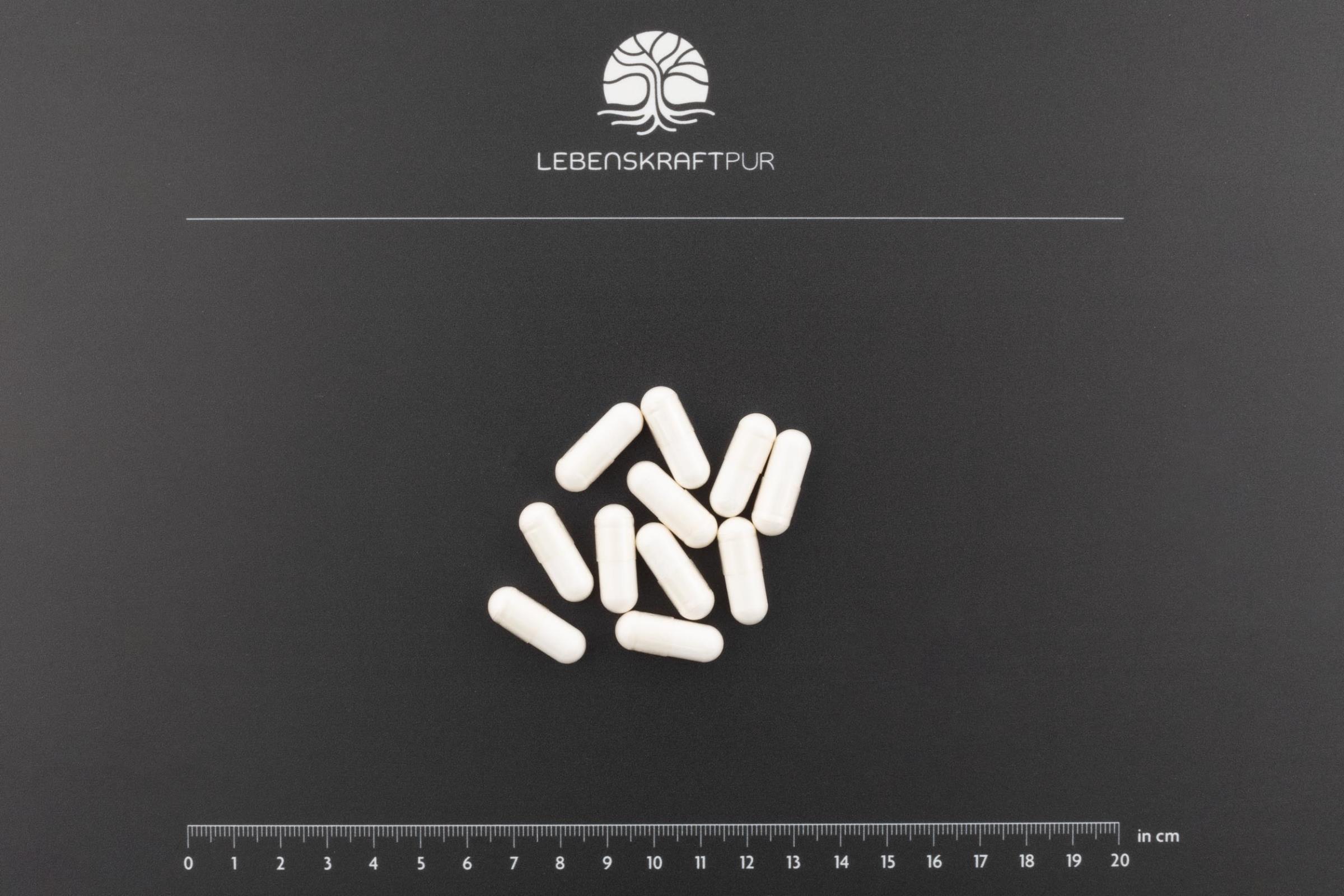 lebenskraftpur-magnesium-sieben-kapseln-7-verbindungen image 3