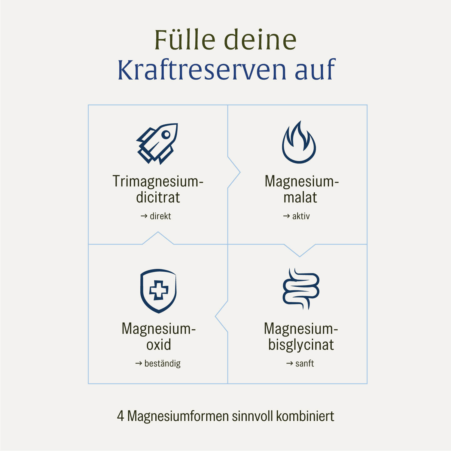 naturtreu-kraftreserve-magnesium-komplex-4-formen-kapseln image 8