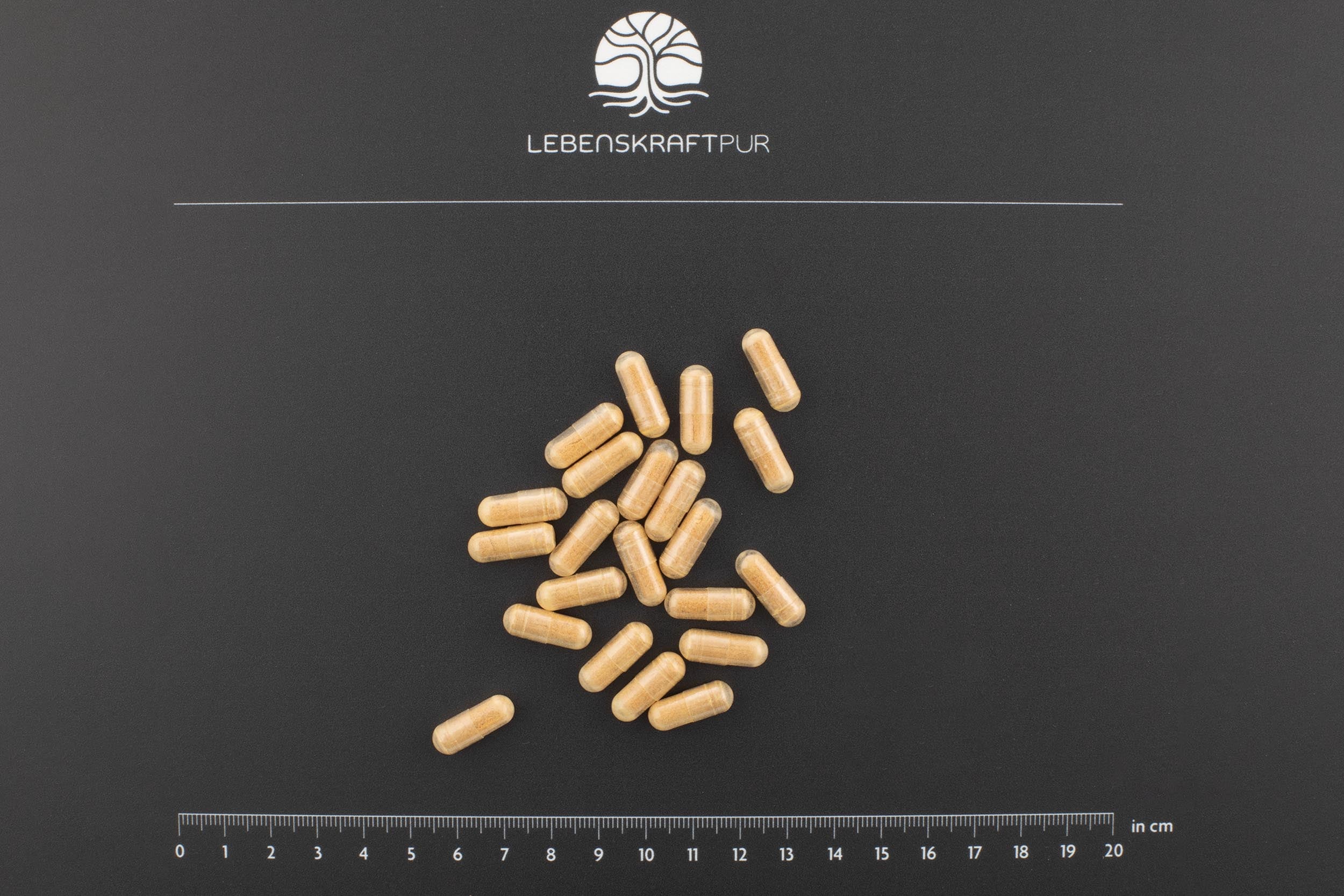 lebenskraftpur-spermidin-plus-kapseln-mit-zink-vegan image 4